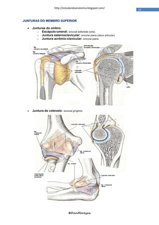 http://estudandoanatomia.blogspot.com/
                                                                          12


JUNTURAS DO MEMBRO SUPERIOR

     Junturas do ombro:
         o Escápulo-umeral: sinovial esferóide (orla).
         o Juntura esternoclavicular: sinovial plana (disco articular).
         o Juntura acrômio-clavicular: sinovial plana.




     Juntura do cotovelo: sinovial gínglimo




                                  @DanMoreyra
 