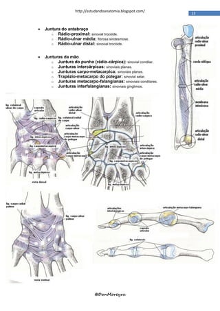 http://estudandoanatomia.blogspot.com/
                                                                 13


   Juntura do antebraço
       o Rádio-proximal: sinovial trocóide.
       o Rádio-ulnar média: fibrosa sindesmose.
       o Rádio-ulnar distal: sinovial trocóide.


   Junturas da mão
       o Juntura do punho (rádio-cárpica): sinovial condilar.
       o Junturas intercárpicas: sinoviais planas.
       o Junturas carpo-metacarpica: sinoviais planas.
       o Trapézio-metacarpo do polegar: sinovial selar.
       o Junturas metacarpo-falangianas: sinoviais condilares.
       o Junturas interfalangianas: sinoviais gínglimos.




                             @DanMoreyra
 