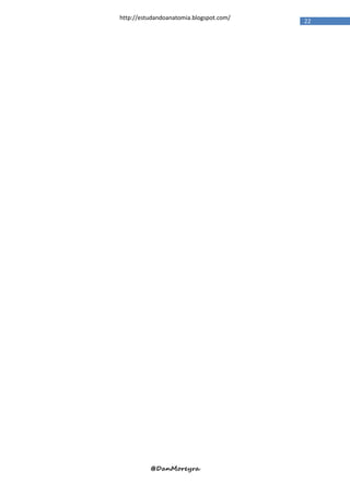 http://estudandoanatomia.blogspot.com/
                                         22




          @DanMoreyra
 