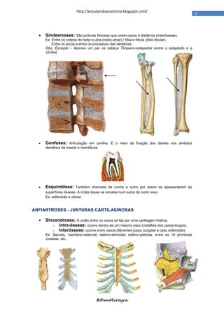 http://estudandoanatomia.blogspot.com/
                                                                                               3




     Sindesmoses: São junturas fibrosas que unem ossos à distância (interósseas).
      Ex: Entre os corpos do radio e ulna (radio-ulnar) / tíbia e fíbula (tíbio-fibular).
          Entre os arcos e entre os processos das vértebras.
      Obs: Exceção - Apenas um par na cabeça Timpano-estapedial (entre o estapédio e a
      cóclea)




     Gonfoses: Articulação em cavilha. É o meio de fixação dos dentes nos alvéolos
      dentários da maxila e mandíbula.




     Esquindilese: Também chamada de cunha e sulco por assim se apresentarem às
      superfícies ósseas. A crista óssea se encaixa num sulco do outro osso.
      Ex: esfenóide e vômer.


ANFIARTROSES - JUNTURAS CARTILAGINOSAS

     Sincondroses: A união entre os ossos se faz por uma cartilagem hialina.
         o Intra-ósseas: ocorre dentro de um mesmo osso (metáfise dos ossos longos).
         o Interósseas: ocorre entre ossos diferentes (osso occipital e osso esfenóide).
      Ex: Sacrais, manúbrio-esternal, esfeno-etmoidal, esfeno-petrosa, entre as 10 primeiras
      costelas, etc.




                                     @DanMoreyra
 