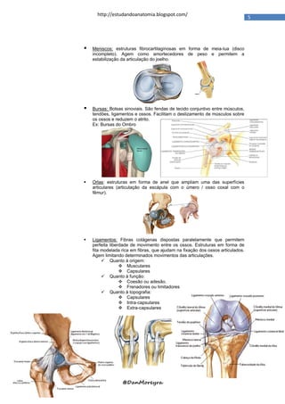 http://estudandoanatomia.blogspot.com/
                                                                                 5




   Meniscos: estruturas fibrocartilaginosas em forma de meia-lua (disco
    incompleto). Agem como amortecedores de peso e permitem a
    estabilização da articulação do joelho.




   Bursas: Bolsas sinoviais. São fendas de tecido conjuntivo entre músculos,
    tendões, ligamentos e ossos. Facilitam o deslizamento de músculos sobre
    os ossos e reduzem o atrito.
    Ex: Bursas do Ombro




   Orlas: estruturas em forma de anel que ampliam uma das superfícies
    articulares (articulação da escápula com o úmero / osso coxal com o
    fêmur).




   Ligamentos: Fibras colágenas dispostas paralelamente que permitem
    perfeita liberdade de movimento entre os ossos. Estruturas em forma de
    fita modelada rica em fibras, que ajudam na fixação dos ossos articulados.
    Agem limitando determinados movimentos das articulações.
          Quanto à origem:
                   Musculares
                   Capsulares
          Quanto à função:
                   Coesão ou adesão.
                   Frenadores ou limitadores
          Quanto à topografia:
                   Capsulares
                   Intra-capsulares
                   Extra-capsulares




                  @DanMoreyra
 