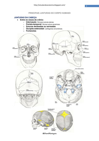 http://estudandoanatomia.blogspot.com/
                                                               9


                PRINCIPAIS JUNTURAS DO CORPO HUMANO

JUNTURAS DA CABEÇA
   Entre os ossos do crânio:
       o Internasais: fibrosas suturas planas.
       o Parieto-temporal: fibrosa sutura escamosa.
       o Suturas denteadas ou serreadas
       o Occipito-esfenoidal: cartilagínea sincondrose.
       o Fontanelas




                                @DanMoreyra
 