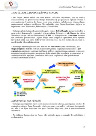 Microbiologia e Parasitologia 14
14
MORFOLOGIA E REPRODUÇÃO DOS FUNGOS
- Os fungos podem existir em duas formas; unicelular (leveduras), que se replica
assexuadamente ou, pluricelulares (fungos filamentosos) que podem se replicar sexuada e
assexuadamente. A maioria dos fungos existe como leveduras ou bolores, no entanto, alguns
podem assumir ambas as morfologias. São conhecidos como fungos dimórficos e incluem os
organismos como Histoplasma, Blastomyces e Coccidioides.
- Os fungos pluricelulares são constituídos pelos corpos de frutificação, que correspondem à
parte visível do cogumelo, responsável pela reprodução do fungo e o micélio que são vários
filamentos, em que cada um é denominado de hifa. As hifas podem ser cenocíticas, possuem
um citoplasma plurinucleado. Alguns fungos mais complexos apresentam hifas septadas
(divididas), onde cada septo pode ter um (monocariótica) ou dois núcleos (dicariótica). A
parede celular é formada de quitina.
- Nos fungos a reprodução assexuada pode ser por brotamento (seres unicelulares), por
fragmentação do micélio, onde um micélio se fragmenta originando muitos outros e por
esporulação, acima dos corpos de frutificação estão os esporângios que produzem os esporos,
estruturas imóveis e resistentes a ambientes desfavoráveis. Já a reprodução sexuada requer a
fusão de duas hifas haplóides, quando isso não ocorre, originam-se hifas geneticamente
distintas denominadas dicários.
IMPORTÂNCIA DOS FUNGOS
- Os fungos desempenham papel como decompositores na natureza, decompondo resíduos de
materiais orgânicos. Dessa forma eles colaboram para a renovação e reciclagem de materiais
no solo e na água, exercendo um papel bastante importante para o desenvolvimento
sustentável.
- Na indústria farmacêutica os fungos são utilizados para a produção de antibióticos e
medicamentos.
 