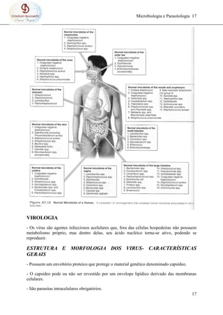 Microbiologia e Parasitologia 17
17
VIROLOGIA
- Os vírus são agentes infecciosos acelulares que, fora das células hospedeiras não possuem
metabolismo próprio, mas dentro delas, seu ácido nucléico torna-se ativo, podendo se
reproduzir.
ESTRUTURA E MORFOLOGIA DOS VIRUS- CARACTERÍSTICAS
GERAIS
- Possuem um envoltório proteico que protege o material genético denominado capsídeo.
- O capsídeo pode ou não ser revestido por um envelope lipídico derivado das membranas
celulares.
- São parasitas intracelulares obrigatórios.
 