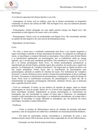 Microbiologia e Parasitologia 29
29
Morfologia:
A Leishmania apresenta três formas durante o seu ciclo:
- Amastigotas: de forma oval ou esférica, estas são as formas encontradas no hospedeiro
vertebrado, no interior das células do SMF. Não há flagelo livre, mas um rudimento presente
na bolsa flagelar.
- Promastigotas: formas alongadas em cuja região anterior emerge um flagelo livre. São
encontradas no tubo digestivo do inseto vetor e em cultura.
- Paramastigotas: formas ovais ou arredondadas com flagelo livre. São encontradas aderidas
ao epitélio do trato digestivo do vetor através de hemidesmossomas.
- Reprodução: divisão binária.
Ciclo:
- No vetor: o inseto pica o vertebrado contaminado para fazer o seu repasto sanguíneo e
ingere macrófagos contendo as formas amastigotas do parasito. Ao chegarem ao estômago do
inseto, os macrófagos se rompem liberando as amastigotas. Estas sofrem uma divisão binária
e se transformam rapidamente em promastigotas, que se multiplicam ainda no sangue
ingerido, que é envolto pela membrana peritrófica. Esta membrana se rompe no 3º ou no 4º
dia e as formas promatigotas ficam livres. As formas promastigotas permanecem se
reproduzindo por divisão binária, podendo seguir dois caminhos, de acordo com a espécie do
parasito. As leishmanias do “complexo brasiliensis” vão migrar para as regiões do piloro e do
íleo (seção peripilária). Nestes locais elas se transformam de promastigotas para
paramastigotas, aderindo ao epitélio do intestino do inseto. Nas leishmanias do “complexo
mexicana” o mesmo fenômeno ocorre, porém a fixação das paramastigotas se dá no estômago
do inseto. Novamente se transformam em promastigotas e migram para a região da faringe do
inseto. Neste local se transformam novamente em paramastigotas e à partir daí vão se
transformando em pequenas promastigotas infectantes, altamente móveis, que se deslocam
para o aparelho bucal do inseto.
- Ciclo no vertebrado: O inseto, na sua tentativa de ingestão de sangue, injeta as formas
promastigotas no local da picada. Dentro de 4 a 8 horas estes flagelados são interiorizados
pelos macrófagos teciduais. Rapidamente as formas promastigotas se transformam em
amastigotas, que são encontradas no sangue 24 horas após a fagocitose. As amastigotas
resistem à ação destruidora dos macrófagos e se multiplicam intensamente, até ocupar todo o
citoplasma. O macrófago se rompe, liberando as amastigotas, que vão penetrar em outros
macrófagos, iniciando a reação inflamatória.
- Profilaxia:
- Evitar as picadas de flebotomíneos através de medidas de proteção individual:
repelentes, telas de mosquiteiro de malha fina e embebidos em inseticida piretróide (bednets).
- Em áreas de colonização recente, recomenda-se a construção de casas a uma
distância de pelo menos 500 m da mata, devido a baixa capacidade de vôo dos flebotomíneos.
- Vacinação: em fase final de testes (Leishvacin).
 