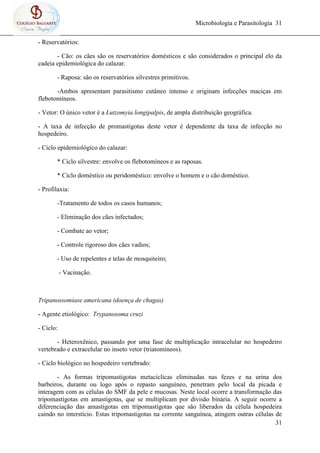 Microbiologia e Parasitologia 31
31
- Reservatórios:
- Cão: os cães são os reservatórios domésticos e são considerados o principal elo da
cadeia epidemiológica do calazar.
- Raposa: são os reservatórios silvestres primitivos.
-Ambos apresentam parasitismo cutâneo intenso e originam infecções maciças em
flebotomíneos.
- Vetor: O único vetor é a Lutzomyia longipalpis, de ampla distribuição geográfica.
- A taxa de infecção de promastigotas deste vetor é dependente da taxa de infecção no
hospedeiro.
- Ciclo epidemiológico do calazar:
* Ciclo silvestre: envolve os flebotomíneos e as raposas.
* Ciclo doméstico ou peridoméstico: envolve o homem e o cão doméstico.
- Profilaxia:
-Tratamento de todos os casos humanos;
- Eliminação dos cães infectados;
- Combate ao vetor;
- Controle rigoroso dos cães vadios;
- Uso de repelentes e telas de mosquiteiro;
- Vacinação.
Tripanossomíase americana (doença de chagas)
- Agente etiológico: Trypanosoma cruzi
- Ciclo:
- Heteroxênico, passando por uma fase de multiplicação intracelular no hospedeiro
vertebrado e extracelular no inseto vetor (triatomíneos).
- Ciclo biológico no hospedeiro vertebrado:
- As formas tripomastigotas metacíclicas eliminadas nas fezes e na urina dos
barbeiros, durante ou logo após o repasto sanguíneo, penetram pelo local da picada e
interagem com as células do SMF da pele e mucosas. Neste local ocorre a transformação das
tripomastígotas em amastigotas, que se multiplicam por divisão binária. A seguir ocorre a
diferenciação das amastigotas em tripomastígotas que são liberados da célula hospedeira
caindo no interstício. Estas tripomastigotas na corrente sanguínea, atingem outras células de
 