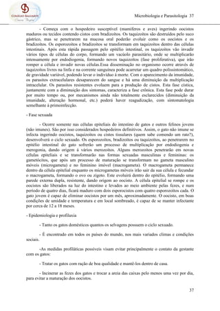 Microbiologia e Parasitologia 37
37
- Começa com o hospedeiro susceptível (mamíferos e aves) ingerindo oocistos
maduros ou tecidos contendo cistos com bradizoítos. Os taquizoítos são destruídos pelo suco
gástrico, mas se penetrarem na mucosa oral poderão evoluir como os oocistos e os
bradizoítos. Os esporozoítos e bradizoítos se transformam em taquizoítos dentro das células
intestinais. Após esta rápida passagem pelo epitélio intestinal, os taquizoítos vão invadir
vários tipos de células do corpo, formando um vacúolo parasitário, onde se multiplicarão
intensamente por endodiogenia, formando novos taquizoítos (fase proliferativa), que irão
romper a célula e invadir novas células.Essa disseminação no organismo ocorre através de
taquizoítos livres na linfa e na corrente sanguínea pode acarretar um quadro polissintomático,
de gravidade variável, podendo levar o indivíduo à morte. Com o aparecimento da imunidade,
os parasitos extracelulares desaparecem do sangue e há uma diminuição da multiplicação
intracelular. Os parasitos resistentes evoluem para a produção de cistos. Esta fase cística,
juntamente com a diminuição dos sintomas, caracteriza a fase crônica. Esta fase pode durar
por muito tempo ou, por mecanismos ainda não totalmente esclarecidos (diminuição da
imunidade, alteração hormonal, etc.) poderá haver reagudização, com sintomatologia
semelhante à primoinfecção.
- Fase sexuada
- Ocorre somente nas células epiteliais do intestino de gatos e outros felinos jovens
(não imunes). São por isso considerados hospedeiros definitivos. Assim, o gato não imune se
infecta ingerindo oocistos, taquizoítos ou cistos tissulares (quem sabe comendo um rato?),
desenvolverá o ciclo sexuado. Os esporozoítos, bradizoítos ou taquizoítos, ao penetrarem no
epitélio intestinal do gato sofrerão um processo de multiplicação por endodiogenia e
merogonia, dando origem á vários merozoítos. Alguns merozoítos penetrarão em novas
células epiteliais e se transformarão nas formas sexuadas masculinas e femininas: os
gametócitos, que após um processo de maturação se transformam no gameta masculino
móveis (microgameta) e no feminino imóvel (macrogameta). O macrogameta permanece
dentro da célula epitelial enquanto os microgametas móveis irão sair da sua célula e fecundar
o macrogameta, formando o ovo ou zigoto. Este evoluirá dentro do epitélio, formando uma
parede externa dupla, resistente, dando origem ao oocisto. A célula epitelial se rompe e os
oocistos são liberados na luz do intestino e levados ao meio ambiente pelas fezes, e num
período de quatro dias, ficará maduro com dois esporocistos com quatro esporozoítos cada. O
gato jovem é capaz de eliminar oocistos por um mês, aproximadamente. O oocisto, em boas
condições de umidade e temperatura e em local sombreado, é capaz de se manter infectante
por cerca de 12 a 18 meses.
- Epidemiologia e profilaxia
- Tanto os gatos domésticos quantos os selvagens possuem o ciclo sexuado.
- É encontrado em todos os países do mundo, nos mais variados climas e condições
sociais.
-As medidas profiláticas possíveis visam evitar principalmente o contato da gestante
com os gatos:
- Tratar os gatos com ração de boa qualidade e mantê-los dentro de casa.
- Incinerar as fezes dos gatos e trocar a areia das caixas pelo menos uma vez por dia,
para evitar a maturação dos oocistos.
 