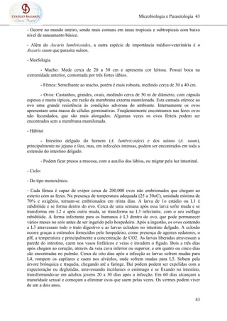 Microbiologia e Parasitologia 43
43
- Ocorre no mundo inteiro, sendo mais comuns em áreas tropicais e subtropicais com baixo
nível de saneamento básico.
- Além do Ascaris lumbricoides, a outra espécie de importância médico-veterinária é o
Ascaris suum que parasita suínos.
- Morfologia
- Macho: Mede cerca de 20 a 30 cm e apresenta cor leitosa. Possui boca na
extremidade anterior, contornada por três fortes lábios.
- Fêmea: Semelhante ao macho, porém é mais robusta, medindo cerca de 30 a 40 cm.
- Ovos: Castanhos, grandes, ovais, medindo cerca de 50 m de diâmetro, com cápsula
espessa e muito típicos, em razão da membrana externa mamilonada. Esta camada oferece ao
ovo uma grande resistência ás condições adversas do ambiente. Internamente os ovos
apresentam uma massa de células germinativas. Freqüentemente encontramos nas fezes ovos
não fecundados, que são mais alongados. Algumas vezes os ovos férteis podem ser
encontrados sem a membrana mamilonada.
- Hábitat
- Intestino delgado do homem (A. lumbricoides) e dos suínos (A. suum),
principalmente no jejuno e íleo, mas, em infecções intensas, podem ser encontrados em toda a
extensão do intestino delgado.
- Podem ficar presos a mucosa, com o auxílio dos lábios, ou migrar pela luz intestinal.
- Ciclo:
- Do tipo monoxênico.
- Cada fêmea é capaz de ovipor cerca de 200.000 ovos não embrionados que chegam ao
exterio com as fezes. Na presença de temperatura adequada (25 a 30oC), umidade mínima de
70% e oxigênio, tornam-se embrionados em trinta dias. A larva de 1o estádio ou L1 é
rabditóide e se forma dentro do ovo. Cerca de uma semana após essa larva sofre muda e se
transforma em L2 e após outra muda, se transforma na L3 infectante, com o seu esôfago
rabidtóide. A forma infectante para os humanos é L3 dentro do ovo, que pode permanecer
vários meses no solo antes de ser ingerido pelo hospedeiro. Após a ingestão, os ovos contendo
a L3 atravessam todo o trato digestivo e as larvas eclodem no intestino delgado. A eclosão
ocorre graças a estímulos fornecidos pelo hospedeiro, como presença de agentes redutores, o
pH, a temperatura e principalmente a concentração de CO2. As larvas liberadas atravessam a
parede do intestino, caem nos vasos linfáticos e veias e invadem o fígado. Dois a três dias
após chegam ao coração, através da veia cava inferior ou superior, e em quatro ou cinco dias
são encontradas no pulmão. Cerca de oito dias após a infecção as larvas sofrem mudas para
L4, rompem os capilares e caem nos alvéolos, onde sofrem mudas para L5. Sobem pela
árvore brônquica e traquéia, chegando até a faringe. Daí podem podem ser expelidas com a
expectoração ou deglutidas, atravessando incólumes o estômago e se fixando no intestino,
transformando-se em adultos jovens 20 a 30 dias após a infecção. Em 60 dias alcançam a
maturidade sexual e começam a eliminar ovos que saem pelas vezes. Os vermes podem viver
de um a dois anos.
 