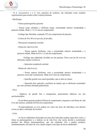 Microbiologia e Parasitologia 48
48
- O S. venezuelensis e o S. ratti, parasitos de roedores, são utilizados como modelos
experimentais para estudos sobre a doença humana.
- Morfologia
- Fêmea partenogenética parasita
- Possui corpo cilíndrico e filiforme longo, extremidade anterior arredondada e
posterior afilada. Mede 1,7 a 2,5 mm de comprimento.
- Esôfago tipo filarióide, ocupando 25% do comprimento do parasito.
- Coloca de 30 a 40 ovos por dia, já larvados.
- Não possui receptáculo seminal.
- Fêmea de vida livre (2n)
- Possui aspecto fusiforme, com a extremidade anterior arredondada e a
posterior afilada. Mede de 0,8 a 1,2 mm de comprimento.
-Esôfago tipo rabditóide, dividido em três porções. Útero com até 28 ovos em
diferentes estados evolutivos.
- Apresenta receptáculo seminal.
- Macho de vida livre (n)
- Possui aspecto fusiforme, com a extremidade anterior arredondada e a
posterior recurvada ventralmente. Mede de 0,7mm de comprimento.
- Aparelho genital com canal ejaculador, que se abre na cloaca.
- Apresenta dois espículos, auxiliares na cópula, que se deslocam sustentados
por uma estrutura chamada gubernáculo.
- Ovos
- Elípticos, de parede fina e transparente, praticamente idênticos aos dos
ancilostomídeos.
- Os da fêmea parasita medem 0,05mm de comprimento, enquanto os da fêmea de vida
livre são maiores, medindo 0,07mm de comprimento.
- Excepcionalmente os ovos podem ser vistos nas fezes de indivíduos com diarréia
severa ou após a utilização de laxantes.
- Ciclo
- As larvas rabditóides eliminadas nas fezes dos indivíduos podem seguir dois ciclos: o
direto ou partenogenético e o indireto ou de vida livre. Isto ocorre devido à constituição
genética das fêmeas partenogenéticas, que são triplóides (3n) e podem produzir,
simultaneamente, três tipos de ovos, dando origem a três tipos de larvas rabditóides:
 