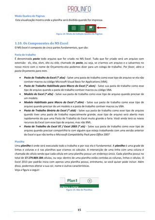 15
Modo Quebra de Páginas
Esta visualização mostra onde a planilha será dividida quando for impressa.
Figura 14: Modo de Exibição Quebra de Páginas
1.10. Os Componentes do MS Excel
O MS Excel é composto de cinco partes fundamentais, que são:
Pasta de trabalho
É denominada pasta todo arquivo que for criado no MS Excel. Tudo que for criado será um arquivo com
extensão: xls, xlsx, xlsm, xltx ou xlsb, chamado de pasta, ou seja, se criarmos um arquivo e o salvarmos no
nosso micro com o nome de Orçamento.xlsx podemos dizer para um colega de trabalho: Por favor, abra a
pasta Orçamento para mim.
Pasta de Trabalho do Excel (*.xlsx) - Salve uma pasta de trabalho como esse tipo de arquivo se ela não
contiver macros ou código Microsoft Visual Basic for Applications (VBA).
Pasta de Trabalho Habilitada para Macro do Excel (*.xlsm) - Salve sua pasta de trabalho como esse
tipo de arquivo quando a pasta de trabalho contiver macros ou código VBA.
Modelo do Excel (*.xltx) - Salve sua pasta de trabalho como esse tipo de arquivo quando precisar de
um modelo.
Modelo Habilitado para Macro do Excel (*.xltm) - Salve sua pasta de trabalho como esse tipo de
arquivo quando precisar de um modelo e a pasta de trabalho contiver macros ou VBA.
Pasta de Trabalho Binária do Excel (*.xlsb) - Salve sua pasta de trabalho como esse tipo de arquivo
quando tiver uma pasta de trabalho especialmente grande; esse tipo de arquivo será aberto mais
rapidamente do que uma Pasta de Trabalho do Excel muito grande o faria. Você ainda terá os novos
recursos do Excel com esse tipo de arquivo, mas não XML.
Pasta de Trabalho do Excel 97 / Excel 2003 (*.xls) - Salve sua pasta de trabalho como esse tipo de
arquivo quando precisar compartilhá-la com alguém que esteja trabalhando com uma versão anterior
do Excel e que não tenha o Microsoft Compatibility Pack para Office 2007
Planilha
Uma planilha é onde será executado todo o trabalho e por isso ela é fundamental. A planilha é uma grade de
linhas e colunas e é nas planilhas que criamos os cálculos. A intersecção de uma linha com uma coluna é
chamada de célula sendo que cada célula em uma planilha possui um endereço único. Cada planilha possui no
total de 17.179.869.184 células, ou seja: dentro de uma planilha estão contidas as colunas, linhas e células. O
Excel 2013 por padrão inicia com apenas uma planilha possui, entretanto, se você quiser pode incluir. Além
disso, podermos alterar a sua cor, nome e outras características.
Veja a figura a seguir:
Figura 15: Aba de Planilhas
 