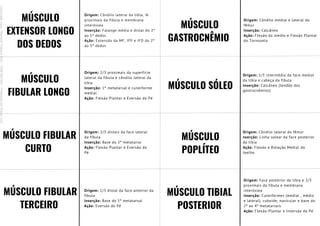 MÚSCULO
EXTENSOR LONGO
DOS DEDOS
Origem: Côndilo lateral da tíbia, ¾
proximais da fíbula e membrana
interóssea
Inserção: Falange média e distal do 2º
ao 5º dedos
Ação: Extensão da MF, IFP e IFD do 2º
ao 5º dedos
MÚSCULO
FIBULAR LONGO
Origem: 2/3 proximais da superfície
lateral da fíbula e côndilo lateral da
tíbia
Inserção: 1º metatarsal e cuneiforme
medial
Ação: Flexão Plantar e Eversão do Pé
MÚSCULO FIBULAR
CURTO
Origem: 2/3 distais da face lateral
da fíbula
Inserção: Base do 5º metatarso
Ação: Flexão Plantar e Eversão do
Pé
MÚSCULO FIBULAR
TERCEIRO
Origem: 1/3 distal da face anterior da
fíbula
Inserção: Base do 5º metatarsal
Ação: Eversão do Pé
MÚSCULO
GASTROCNÊMIO
MÚSCULO SÓLEO
MÚSCULO
POPLÍTEO
MÚSCULO TIBIAL
POSTERIOR
Origem: Côndilo medial e lateral do
fêmur
Inserção: Calcâneo
Ação: Flexão do Joelho e Flexão Plantar
do Tornozelo
Origem: 1/3 intermédio da face medial
da tíbia e cabeça da fíbula
Inserção: Calcâneo (tendão dos
gastrocnêmios)
Origem: Côndilo lateral do fêmur
nserção: Linha solear da face posterior
da tíbia
Ação: Flexão e Rotação Medial do
Joelho
Origem: Face posterior da tíbia e 2/3
proximais da fíbula e membrana
interóssea
Inserção: Cuneiformes (medial , médio
e lateral), cuboide, navicular e base do
2º ao 4º metatarsais
Ação: Flexão Plantar e Inversão do Pé
Licenciado
para
-
Mariana
Teixeira
Brito
-
70561961603
-
Protegido
por
Eduzz.com
 