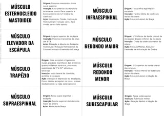 MÚSCULO
ESTERNOCLEIDO
MASTOIDEO
Origem: Processo mastoide e linha
nucal superior
Inserção: Face anterior do manúbrio
do esterno junto à face superior e
borda anterior do 1/3 medial da
clavícula
Ação: Inspiração, Flexão, Inclinação
Homolateral e rotação com a face
virada para o lado oposto
MÚSCULO
ELEVADOR DA
ESCÁPULA
Origem: Angulo superior da escápula
Inserção: Processo transverso do atlas
ate à C4
Ação: Elevação e Adução da Escápula.
Inclinação e Rotação Homolateral da
Coluna Cervical e Extensão da Cabeça
MÚSCULO
TRAPÉZIO
Origem: Osso occipital e ligamento
nucal, processo espinhosos das primeiras
quatro vértebras torácicas, processos
espinhosos da 5ª à 12ª vértebras
torácicas
Inserção: terço lateral da clavícula,
acrômio e escápula
Ação: elevação e depressão da escaápula,
Fixa a lâmina escapular no tórax, a move
medialmente e a roda externamente
MÚSCULO
SUPRAESPINHAL
Origem: Fossa supra-espinhal –
escápula
Inserção: Faceta superior do tubérculo
maior do úmero
Ação: Abdução do Braço
MÚSCULO
INFRAESPINHAL
MÚSCULO
REDONDO MAIOR
MÚSCULO
REDONDO
MENOR
MÚSCULO
SUBESCAPULAR
Origem: Fossa infra-espinhal da
escápula
Inserção: Faceta média do tubérculo
maior do úmero
Ação: Rotação Lateral do Braço
Origem: 1/3 inferior da borda lateral da
escápula e ângulo inferior da escápula
Inserção: Crista do tubérculo menor do
úmero
Ação: Rotação Medial, Adução e
Extensão da Articulação do Ombro
Origem: 2/3 superior da borda lateral
da escápula
Inserção: Faceta inferior do tubérculo
maior do úmero
Ação: Rotação Lateral e Adução do
Braço
Origem: Fossa subescapular
Inserção: Tubérculo menor
Ação: Rotação Medial e Adução do
Braço
Licenciado
para
-
Mariana
Teixeira
Brito
-
70561961603
-
Protegido
por
Eduzz.com
 