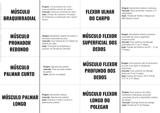 MÚSCULO
BRAQUIRRADIAL
Origem: 2/3 proximais da crista
supracondiliana lateral do úmero
Inserção: Processo estiloide do rádio
Ação: Flexão do Cotovelo, Pronação
de Antebraço e Supinação até o ponto
neutro
MÚSCULO
PRONADOR
REDONDO
Origem: Epicôndilo medial do úmero e
processo coronoide da ulna
Inserção: Face lateral do 1/3 médio da
diáfise do rádio
Ação: Pronação do Antebraço e
auxiliar na Flexão do Cotovelo
MÚSCULO
PALMAR CURTO
Origem: Aponeurose palmar
Inserção: Pele na parte medial
da palma
Ação: auxilia na pegada
MÚSCULO PALMAR
LONGO
Origem: Epicôndilo medial
Inserção: Aponeurose palmar
Ação: Flexiona a mão e contrai a
aponeurose palmar
FLEXOR ULNAR
DO CARPO
MÚSCULO FLEXOR
SUPERFICIAL DOS
DEDOS
MÚSCULO FLEXOR
PROFUNDO DOS
DEDOS
MÚSCULO FLEXOR
LONGO DO
POLEGAR
Origem: Epicôndilo medial e olécrano
Inserção: Osso pisiforme, hamato e 5º
metacarpal
Ação: Flexão de Punho e Adução da
Mão (desvio ulnar)
Origem: Epicôndilo medial, processo
coronoide da ulna e ligamento
colateral ulnar
Inserção: Face anterior da falange
intermédia do 2º ao 5º dedos
Ação: Flexão de Punho e da IFP – 2º ao
5º Dedos
Origem: Face anterior dos ¾ proximais
da ulna e do rádio e membrana
interóssea
Inserção: Face anterior da falange
distal do 2º ao 5º dedos
Ação: Flexão de Punho, IFP e IFD do
2º,3°,4° e 5º Dedos
Origem: Face anterior do rádio,
membrana interóssea, processo
coronoide da ulna e epicôndilo medial
do úmero.
Inserção: Falange distal do polegar
Ação: Flexão da IF do Polegar
Licenciado
para
-
Mariana
Teixeira
Brito
-
70561961603
-
Protegido
por
Eduzz.com
 