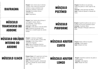 DIAFRAGMA
Origem: Face interna das 6 últimas
costelas, face interna do processo
xifoide e corpos vertebrais das
vértebras lombares superiores
Inserção: No tendão central
(aponeurose)
Ação: Inspiratório
MÚSCULO
TRANSVERSO DO
ABDOME
Origem: Face interna das últimas 6
cartilagens costais, fáscia
toracolombar, crista ilíaca e
ligamento inguinal
Inserção: Linha alba e crista do púbis
Ação: Aumento da pressão intra-
abdominal e estabilização da coluna
lombar
MÚSCULO OBLÍQUO
INTERNO DO
ABDOME
Origem: 3 últimas cartilagens
costais, crista do púbis e linha alba
Inserção: Crista ilíaca, EIAS e
ligamento inguinal
Ação: Idem ao Oblíquo Externo,
porém realiza rotação do tórax para
o mesmo lado
MÚSCULO ILIACO
Origem Ilíaco: 2/3 superiores da fossa
ilíaca, crista ilíaca e asa do sacro
Inserção: Trocânter menor
Ação: Flexão de quadril, anteversão
da pelve e flexão da coluna lombar
(30° – 90°)
MÚSCULO
PECTÍNEO
MÚSCULO
PIRIFORME
MÚSCULO ADUTOR
CURTO
MÚSCULO ADUTOR
LONGO
Origem: Eminência ílo-pectínea,
tubérculo púbico e ramo superior do
púbis
Inserção: Linha pectínea do fêmur
Ação: Flexão do Quadril e Adução da
Coxa
Origem: Superfície pélvica do sacro e
margem da incisura isquiática maior
Inserção: Trocânter Maior
Ação: Abdução e Rotação Lateral da
Coxa
Origem: Ramo inferior do púbis
Inserção: Linha áspera
Ação: Adução da Coxa
Origem: Superfície anterior do púbis e
sínfise púbica
Inserção: Linha áspera
Ação: Adução da Coxa
Licenciado
para
-
Mariana
Teixeira
Brito
-
70561961603
-
Protegido
por
Eduzz.com
 