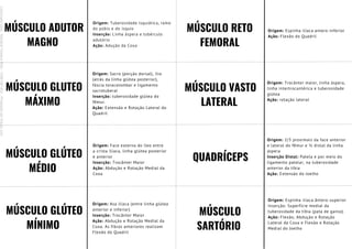 MÚSCULO ADUTOR
MAGNO
Origem: Tuberosidade isquiática, ramo
do púbis e do ísquio
Inserção: Linha áspera e tubérculo
adutório
Ação: Adução da Coxa
MÚSCULO GLUTEO
MÁXIMO
Origem: Sacro (porção dorsal), ílio
(atrás da linha glútea posterior),
fáscia toracolombar e ligamento
sacrotuberal
Inserção: tuberosidade glútea do
fêmur.
Ação: Extensão e Rotação Lateral do
Quadril
MÚSCULO GLÚTEO
MÉDIO
Origem: Face externa do íleo entre
a crista ilíaca, linha glútea posterior
e anterior
Inserção: Trocânter Maior
Ação: Abdução e Rotação Medial da
Coxa
MÚSCULO GLÚTEO
MÍNIMO
Origem: Asa ilíaca (entre linha glútea
anterior e inferior)
Inserção: Trocânter Maior
Ação: Abdução e Rotação Medial da
Coxa. As fibras anteriores realizam
Flexão do Quadril
MÚSCULO RETO
FEMORAL
MÚSCULO VASTO
LATERAL
QUADRÍCEPS
MÚSCULO
SARTÓRIO
Origem: Espinha ilíaca antero-inferior
Ação: Flexão do Quadril
Origem: Trocânter maior, linha áspera,
linha intertrocantérica e tuberosidade
glútea
Ação: rotação lateral
Origem: 2/3 proximais da face anterior
e lateral do fêmur e ½ distal da linha
áspera
Inserção Distal: Patela e por meio do
ligamento patelar, na tuberosidade
anterior da tíbia
Ação: Extensão do Joelho
Origem: Espinha ilíaca ântero-superior
Inserção: Superfície medial da
tuberosidade da tíbia (pata de ganso)
Ação: Flexão, Abdução e Rotação
Lateral da Coxa e Flexão e Rotação
Medial do Joelho
Licenciado
para
-
Mariana
Teixeira
Brito
-
70561961603
-
Protegido
por
Eduzz.com
 