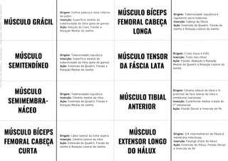 MÚSCULO GRÁCIL
Origem: Sínfise púbica e ramo inferior
do púbis
Inserção: Superfície medial da
tuberosidade da tíbia (pata de ganso)
Ação: Adução da Coxa, Flexão e
Rotação Medial do Joelho
MÚSCULO
SEMITENDÍNEO
Origem: Tuberosidade isquiática
Inserção: Superfície medial da
tuberosidade da tíbia (pata de ganso)
Ação: Extensão do Quadril, Flexão e
Rotação Medial do Joelho
MÚSCULO
SEMIMEMBRA-
NÁCEO
Origem: Tuberosidade isquiática
Inserção: Côndilo medial da tíbia
Ação: Extensão do Quadril, Flexão e
Rotação Medial do Joelho
MÚSCULO BÍCEPS
FEMORAL CABEÇA
CURTA
Origem: Lábio lateral da linha áspera
Inserção: Côndilo lateral da tíbia
Ação: Extensão do Quadril, Flexão do
Joelho e Rotação Lateral do Joelho
MÚSCULO BÍCEPS
FEMORAL CABEÇA
LONGA
MÚSCULO TENSOR
DA FÁSCIA LATA
MÚSCULO TIBIAL
ANTERIOR
MÚSCULO
EXTENSOR LONGO
DO HÁLUX
Origem: Tuberosidade isquiática e
ligamento sacro-tuberoso
Inserção: Cabeça da fíbula
Ação: Extensão do Quadril, Flexão do
Joelho e Rotação Lateral do Joelho
Origem: Crista ilíaca e EIAS
Inserção: Trato íleo-tibial
Ação: Flexão, Abdução e Rotação
Medial do Quadril e Rotação Lateral do
Joelho
Origem: Côndilo lateral da tíbia e ½
proximal da face lateral da tíbia e
membrana interóssea
Inserção: Cuneiforme medial e base do
1º metatarsal
Ação: Flexão Dorsal e Inversão do Pé
Origem: 2/4 intermediários da fíbula e
membrana interóssea
Inserção: Falange distal do hálux
Ação: Extensão do Hálux, Flexão Dorsal
e Inversão do Pé
Licenciado
para
-
Mariana
Teixeira
Brito
-
70561961603
-
Protegido
por
Eduzz.com
 