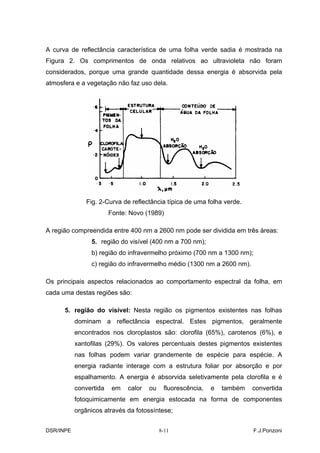 A curva de reflectância característica de uma folha verde sadia é mostrada na
Figura 2. Os comprimentos de onda relativos ao ultravioleta não foram
considerados, porque uma grande quantidade dessa energia é absorvida pela
atmosfera e a vegetação não faz uso dela.




               Fig. 2-Curva de reflectância típica de uma folha verde.
                        Fonte: Novo (1989)

A região compreendida entre 400 nm a 2600 nm pode ser dividida em três áreas:
                5. região do visível (400 nm a 700 nm);
                b) região do infravermelho próximo (700 nm a 1300 nm);
                c) região do infravermelho médio (1300 nm a 2600 nm).

Os principais aspectos relacionados ao comportamento espectral da folha, em
cada uma destas regiões são:

      5. região do visível: Nesta região os pigmentos existentes nas folhas
           dominam a reflectância espectral. Estes pigmentos, geralmente
           encontrados nos cloroplastos são: clorofila (65%), carotenos (6%), e
           xantofilas (29%). Os valores percentuais destes pigmentos existentes
           nas folhas podem variar grandemente de espécie para espécie. A
           energia radiante interage com a estrutura foliar por absorção e por
           espalhamento. A energia é absorvida seletivamente pela clorofila e é
           convertida    em   calor   ou    fluorescência,   e   também   convertida
           fotoquimicamente em energia estocada na forma de componentes
           orgânicos através da fotossíntese;


DSR/INPE                                   8-11                           F.J.Ponzoni
 