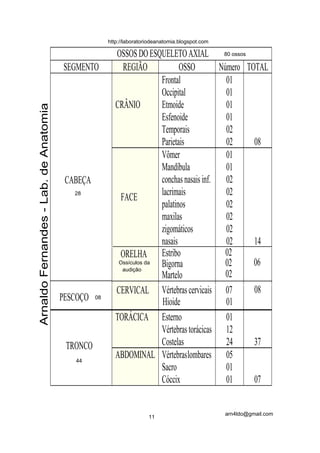 http://laboratoriodeanatomia.blogspot.com

                                                         OSSOS DO ESQUELETO AXIAL 80 ossos
                                       SEGMENTO             REGIÃO            OSSO         Número TOTAL
                                                                       Frontal               01
                                                                       Occipital             01
                                                         CRÂNIO        Etmoide               01
Arnaldo Fernandes - Lab. de Anatomia




                                                                       Esfenoide             01
                                                                       Temporais             02
                                                                       Parietais             02     08
                                                                       Vômer                 01
                                                                       Mandíbula             01
                                        CABEÇA                         conchas nasais inf. 02
                                          28
                                                           FACE        lacrimais             02
                                                                       palatinos             02
                                                                       maxilas               02
                                                                       zigomáticos           02
                                                                       nasais                02     14
                                                          ORELHA Estribo                     02
                                                          Ossículos da Bigorna               02     06
                                                           audição
                                                                       Martelo               02
                                                         CERVICAL Vértebras cervicais 07            08
                                       PESCOÇO   08
                                                                       Hioide                01
                                                         TORÁCICA Esterno                    01
                                                                       Vértebras torácicas 12
                                        TRONCO                         Costelas              24     37
                                          44
                                                         ABDOMINAL Vértebras lombares 05
                                                                       Sacro                 01
                                                                       Cóccix                01     07


                                                                                                  arn4ldo@gmail.com
                                                                      11
 