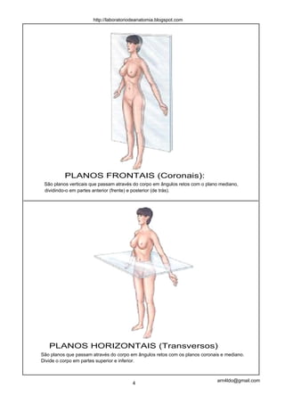 http://laboratoriodeanatomia.blogspot.com




          PLANOS FRONTAIS (Coronais):
 São planos verticais que passam através do corpo em ângulos retos com o plano mediano,
 dividindo-o em partes anterior (frente) e posterior (de trás).




   PLANOS HORIZONTAIS (Transversos)
São planos que passam através do corpo em ângulos retos com os planos coronais e mediano.
Divide o corpo em partes superior e inferior.



                                                                             arn4ldo@gmail.com
                                        4
 