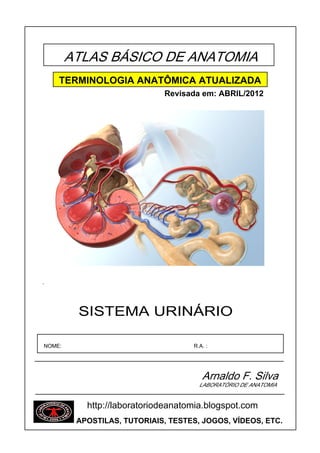 ATLAS BÁSICO DE ANATOMIA
SISTEMA URINÁRIO
´
NOME: R.A. :
Arnaldo F. Silva
LABORATÓRIO DE ANATOMIA
TERMINOLOGIA ANATÔMICA ATUALIZADA
Revisada em: ABRIL/2012
http://laboratoriodeanatomia.blogspot.com
APOSTILAS, TUTORIAIS, TESTES, JOGOS, VÍDEOS, ETC.
 