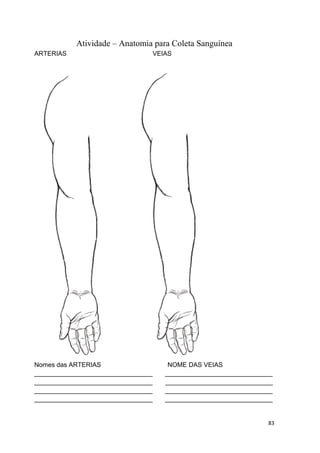 83
Atividade – Anatomia para Coleta Sanguínea
ARTERIAS VEIAS
Nomes das ARTERIAS NOME DAS VEIAS
_________________________________ ______________________________
_________________________________ ______________________________
_________________________________ ______________________________
_________________________________ ______________________________
 