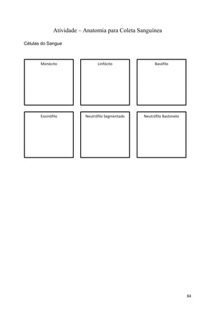 84
Atividade – Anatomia para Coleta Sanguínea
Células do Sangue
Monócito Linfócito Basófilo
Eosinófilo Neutrófilo Segmentado Neutrófilo Bastonete
 