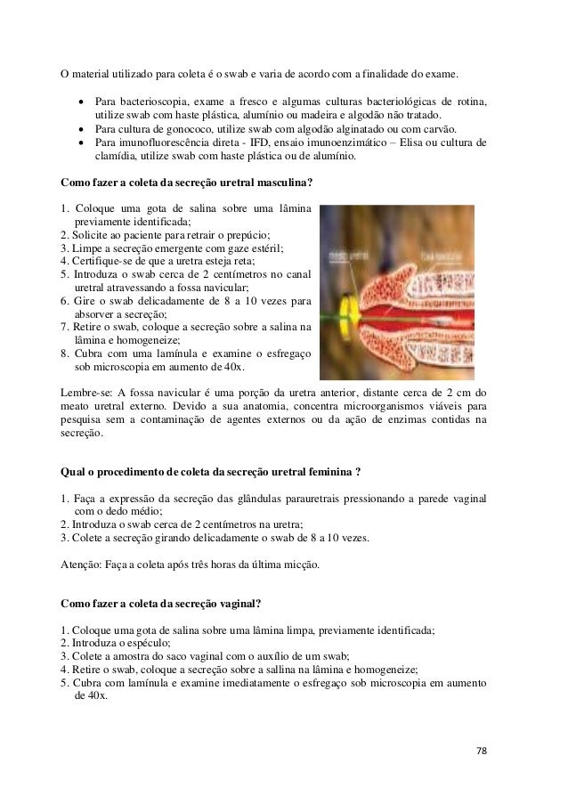 Exame fezes 3 amostras