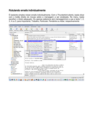 Rotulando emails individualmente
É bastante simples rotular emails individualmente. Com o Thunderbird aberto, basta clicar
com o botão direito do mouse sobre a mensagem a ser sinalizada. No menu, basta
escolher o rótulo adequado. Ou apenas selecione a(s) mensagem(ns) e use a tecla 1, 2,
3, 4 ou 5, para Importante, Trabalho, Particular, Pendente ou Adiar, respectivamente
 