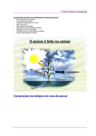 A Usina de Açúcar e sua Automação
QUALIDADES DE UMA BOA VARIEDADE DE CANA-DE-AÇÚCAR
- Bom rendimento por hectare
- Alta riqueza de sacarose
- Conteúdo de fibra entre 12 a 14%
- Brix maior de 16
o
- Boa e rápida germinação
- Resistência às enfermidades e pragas
- Escassa ou nenhuma floração
- Facilidade para a mecanização da colheita
- Mínimas dificuldades na fábrica
Composição tecnológica da cana-de-açúcar
 