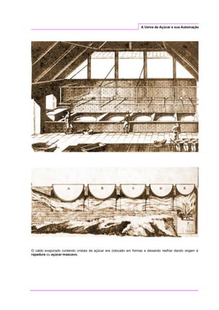 A Usina de Açúcar e sua Automação
O caldo evaporado contendo cristais de açúcar era colocado em formas e deixando resfriar dando origem à
rapadura ou açúcar mascavo.
 