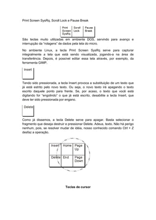Print Screen SysRq, Scroll Lock e Pause Break
São teclas muito utilizadas em ambiente DOS, servindo para avanço e
interrupção da “rolagens” de dados pela tela do micro.
No ambiente Linux, a tecla Print Screen SysRq serve para capturar
integralmente a tela que está sendo visualizada, jogando-a na área de
transferência. Depois, é possível editar essa tela através, por exemplo, da
ferramenta GIMP.
Tendo sido pressionada, a tecla Insert provoca a substituição de um texto que
já está estrito pelo novo texto. Ou seja, o novo texto irá apagando o texto
escrito daquele ponto para frente. Se, por acaso, o texto que você está
digitando for “engolindo” o que já está escrito, desabilite a tecla Insert, que
deve ter sido pressionada por engano.
Como já dissemos, a tecla Delete serve para apagar. Basta selecionar o
fragmento que deseja destruir e pressionar Delete. Adeus, texto. Não há perigo
nenhum, pois, se resolver mudar de idéia, nosso conhecido comando Ctrl + Z
desfaz a operação.
Teclas de cursor
 