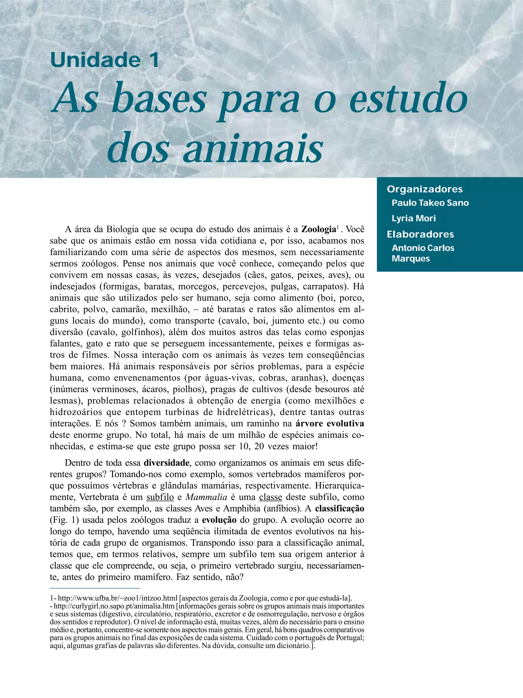 As bases para o estudo
Unidade 1
Organizadores
Paulo Takeo Sano
Lyria Mori
Elaboradores
Antonio Carlos
Marques
A área da Biologia que se ocupa do estudo dos animais é a Zoologia1
. Você
sabe que os animais estão em nossa vida cotidiana e, por isso, acabamos nos
familiarizando com uma série de aspectos dos mesmos, sem necessariamente
sermos zoólogos. Pense nos animais que você conhece, começando pelos que
convivem em nossas casas, às vezes, desejados (cães, gatos, peixes, aves), ou
indesejados (formigas, baratas, morcegos, percevejos, pulgas, carrapatos). Há
animais que são utilizados pelo ser humano, seja como alimento (boi, porco,
cabrito, polvo, camarão, mexilhão, – até baratas e ratos são alimentos em al-
guns locais do mundo), como transporte (cavalo, boi, jumento etc.) ou como
diversão (cavalo, golfinhos), além dos muitos astros das telas como esponjas
falantes, gato e rato que se perseguem incessantemente, peixes e formigas as-
tros de filmes. Nossa interação com os animais às vezes tem conseqüências
bem maiores. Há animais responsáveis por sérios problemas, para a espécie
humana, como envenenamentos (por águas-vivas, cobras, aranhas), doenças
(inúmeras verminoses, ácaros, piolhos), pragas de cultivos (desde besouros até
lesmas), problemas relacionados à obtenção de energia (como mexilhões e
hidrozoários que entopem turbinas de hidrelétricas), dentre tantas outras
interações. E nós ? Somos também animais, um raminho na árvore evolutiva
deste enorme grupo. No total, há mais de um milhão de espécies animais co-
nhecidas, e estima-se que este grupo possa ser 10, 20 vezes maior!
Dentro de toda essa diversidade, como organizamos os animais em seus dife-
rentes grupos? Tomando-nos como exemplo, somos vertebrados mamíferos por-
que possuímos vértebras e glândulas mamárias, respectivamente. Hierarquica-
mente, Vertebrata é um subfilo e Mammalia é uma classe deste subfilo, como
também são, por exemplo, as classes Aves e Amphibia (anfíbios). A classificação
(Fig. 1) usada pelos zoólogos traduz a evolução do grupo. A evolução ocorre ao
longo do tempo, havendo uma seqüência ilimitada de eventos evolutivos na his-
tória de cada grupo de organismos. Transpondo isso para a classificação animal,
temos que, em termos relativos, sempre um subfilo tem sua origem anterior à
classe que ele compreende, ou seja, o primeiro vertebrado surgiu, necessariamen-
te, antes do primeiro mamífero. Faz sentido, não?
dos animais
1- http://www.ufba.br/~zoo1/intzoo.html [aspectos gerais da Zoologia, como e por que estudá-la].
- http://curlygirl.no.sapo.pt/animalia.htm [informações gerais sobre os grupos animais mais importantes
e seus sistemas (digestivo, circulatório, respiratório, excretor e de osmorregulação, nervoso e órgãos
dos sentidos e reprodutor). O nível de informação está, muitas vezes, além do necessário para o ensino
médioe,portanto,concentre-sesomentenosaspectosmaisgerais.Emgeral,hábonsquadroscomparativos
para os grupos animais no final das exposições de cada sistema. Cuidado com o português de Portugal;
aqui, algumas grafias de palavras são diferentes. Na dúvida, consulte um dicionário.].
 