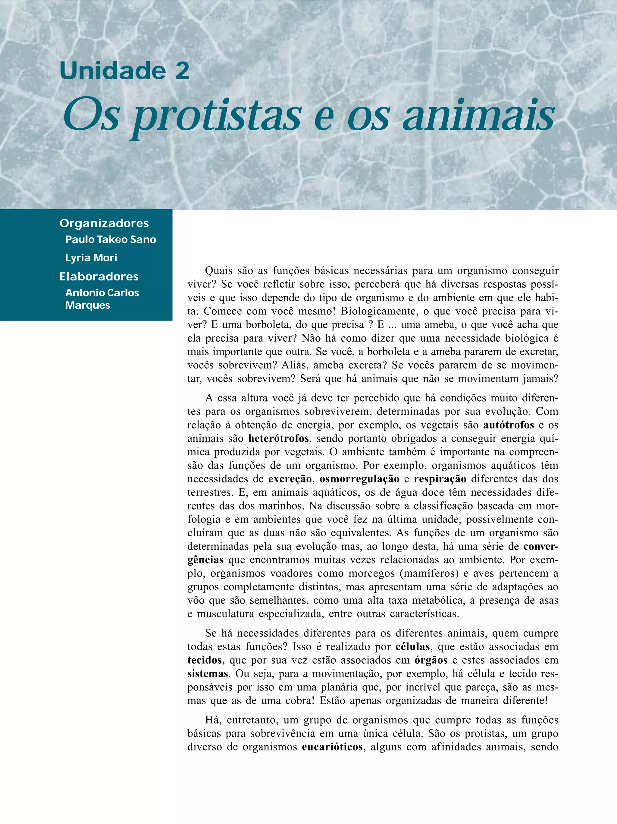 Quais são as funções básicas necessárias para um organismo conseguir
viver? Se você refletir sobre isso, perceberá que há diversas respostas possí-
veis e que isso depende do tipo de organismo e do ambiente em que ele habi-
ta. Comece com você mesmo! Biologicamente, o que você precisa para vi-
ver? E uma borboleta, do que precisa ? E ... uma ameba, o que você acha que
ela precisa para viver? Não há como dizer que uma necessidade biológica é
mais importante que outra. Se você, a borboleta e a ameba pararem de excretar,
vocês sobrevivem? Aliás, ameba excreta? Se vocês pararem de se movimen-
tar, vocês sobrevivem? Será que há animais que não se movimentam jamais?
A essa altura você já deve ter percebido que há condições muito diferen-
tes para os organismos sobreviverem, determinadas por sua evolução. Com
relação à obtenção de energia, por exemplo, os vegetais são autótrofos e os
animais são heterótrofos, sendo portanto obrigados a conseguir energia quí-
mica produzida por vegetais. O ambiente também é importante na compreen-
são das funções de um organismo. Por exemplo, organismos aquáticos têm
necessidades de excreção, osmorregulação e respiração diferentes das dos
terrestres. E, em animais aquáticos, os de água doce têm necessidades dife-
rentes das dos marinhos. Na discussão sobre a classificação baseada em mor-
fologia e em ambientes que você fez na última unidade, possivelmente con-
cluíram que as duas não são equivalentes. As funções de um organismo são
determinadas pela sua evolução mas, ao longo desta, há uma série de conver-
gências que encontramos muitas vezes relacionadas ao ambiente. Por exem-
plo, organismos voadores como morcegos (mamíferos) e aves pertencem a
grupos completamente distintos, mas apresentam uma série de adaptações ao
vôo que são semelhantes, como uma alta taxa metabólica, a presença de asas
e musculatura especializada, entre outras características.
Se há necessidades diferentes para os diferentes animais, quem cumpre
todas estas funções? Isso é realizado por células, que estão associadas em
tecidos, que por sua vez estão associados em órgãos e estes associados em
sistemas. Ou seja, para a movimentação, por exemplo, há célula e tecido res-
ponsáveis por isso em uma planária que, por incrível que pareça, são as mes-
mas que as de uma cobra! Estão apenas organizadas de maneira diferente!
Há, entretanto, um grupo de organismos que cumpre todas as funções
básicas para sobrevivência em uma única célula. São os protistas, um grupo
diverso de organismos eucarióticos, alguns com afinidades animais, sendo
Os protistas e os animais
Unidade 2
Organizadores
Paulo Takeo Sano
Lyria Mori
Elaboradores
Antonio Carlos
Marques
 