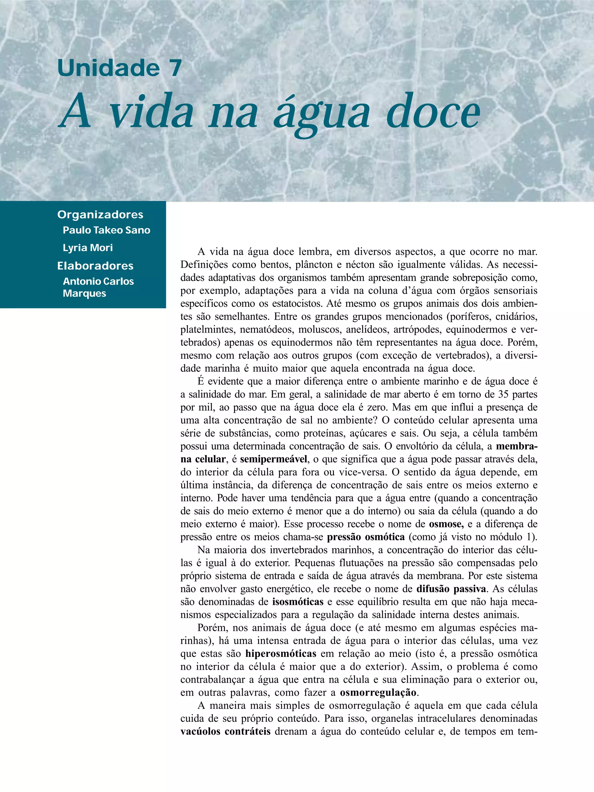 A vida na água doce lembra, em diversos aspectos, a que ocorre no mar.
Definições como bentos, plâncton e nécton são igualmente válidas. As necessi-
dades adaptativas dos organismos também apresentam grande sobreposição como,
por exemplo, adaptações para a vida na coluna d’água com órgãos sensoriais
específicos como os estatocistos. Até mesmo os grupos animais dos dois ambien-
tes são semelhantes. Entre os grandes grupos mencionados (poríferos, cnidários,
platelmintes, nematódeos, moluscos, anelídeos, artrópodes, equinodermos e ver-
tebrados) apenas os equinodermos não têm representantes na água doce. Porém,
mesmo com relação aos outros grupos (com exceção de vertebrados), a diversi-
dade marinha é muito maior que aquela encontrada na água doce.
É evidente que a maior diferença entre o ambiente marinho e de água doce é
a salinidade do mar. Em geral, a salinidade de mar aberto é em torno de 35 partes
por mil, ao passo que na água doce ela é zero. Mas em que influi a presença de
uma alta concentração de sal no ambiente? O conteúdo celular apresenta uma
série de substâncias, como proteínas, açúcares e sais. Ou seja, a célula também
possui uma determinada concentração de sais. O envoltório da célula, a membra-
na celular, é semipermeável, o que significa que a água pode passar através dela,
do interior da célula para fora ou vice-versa. O sentido da água depende, em
última instância, da diferença de concentração de sais entre os meios externo e
interno. Pode haver uma tendência para que a água entre (quando a concentração
de sais do meio externo é menor que a do interno) ou saia da célula (quando a do
meio externo é maior). Esse processo recebe o nome de osmose, e a diferença de
pressão entre os meios chama-se pressão osmótica (como já visto no módulo 1).
Na maioria dos invertebrados marinhos, a concentração do interior das célu-
las é igual à do exterior. Pequenas flutuações na pressão são compensadas pelo
próprio sistema de entrada e saída de água através da membrana. Por este sistema
não envolver gasto energético, ele recebe o nome de difusão passiva. As células
são denominadas de isosmóticas e esse equilíbrio resulta em que não haja meca-
nismos especializados para a regulação da salinidade interna destes animais.
Porém, nos animais de água doce (e até mesmo em algumas espécies ma-
rinhas), há uma intensa entrada de água para o interior das células, uma vez
que estas são hiperosmóticas em relação ao meio (isto é, a pressão osmótica
no interior da célula é maior que a do exterior). Assim, o problema é como
contrabalançar a água que entra na célula e sua eliminação para o exterior ou,
em outras palavras, como fazer a osmorregulação.
A maneira mais simples de osmorregulação é aquela em que cada célula
cuida de seu próprio conteúdo. Para isso, organelas intracelulares denominadas
vacúolos contráteis drenam a água do conteúdo celular e, de tempos em tem-
A vida na água doce
Unidade 7
Organizadores
Paulo Takeo Sano
Lyria Mori
Elaboradores
Antonio Carlos
Marques
 