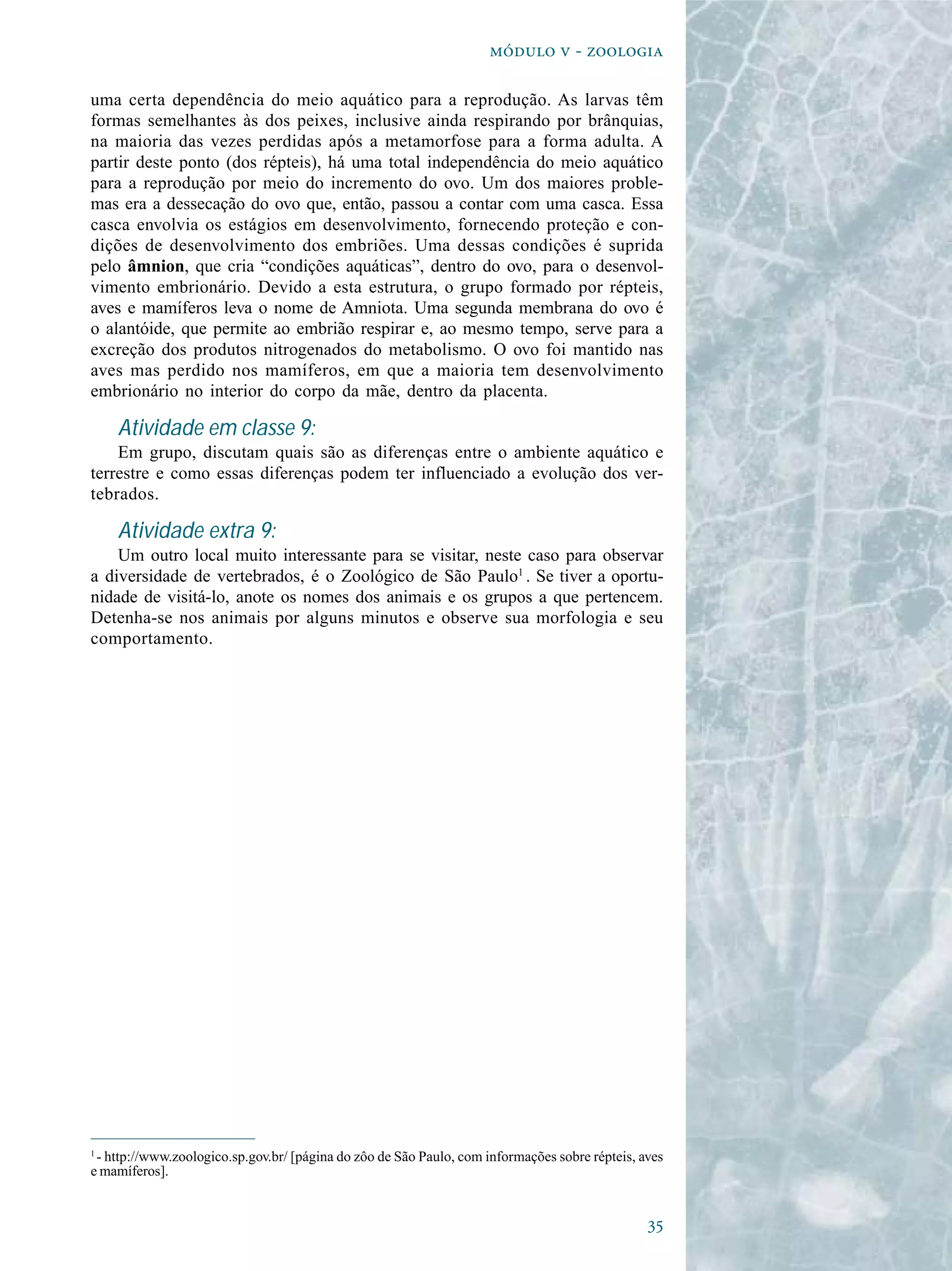
  - 
uma certa dependência do meio aquático para a reprodução. As larvas têm
formas semelhantes às dos peixes, inclusive ainda respirando por brânquias,
na maioria das vezes perdidas após a metamorfose para a forma adulta. A
partir deste ponto (dos répteis), há uma total independência do meio aquático
para a reprodução por meio do incremento do ovo. Um dos maiores proble-
mas era a dessecação do ovo que, então, passou a contar com uma casca. Essa
casca envolvia os estágios em desenvolvimento, fornecendo proteção e con-
dições de desenvolvimento dos embriões. Uma dessas condições é suprida
pelo âmnion, que cria “condições aquáticas”, dentro do ovo, para o desenvol-
vimento embrionário. Devido a esta estrutura, o grupo formado por répteis,
aves e mamíferos leva o nome de Amniota. Uma segunda membrana do ovo é
o alantóide, que permite ao embrião respirar e, ao mesmo tempo, serve para a
excreção dos produtos nitrogenados do metabolismo. O ovo foi mantido nas
aves mas perdido nos mamíferos, em que a maioria tem desenvolvimento
embrionário no interior do corpo da mãe, dentro da placenta.
Atividade em classe 9:
Em grupo, discutam quais são as diferenças entre o ambiente aquático e
terrestre e como essas diferenças podem ter influenciado a evolução dos ver-
tebrados.
Atividade extra 9:
Um outro local muito interessante para se visitar, neste caso para observar
a diversidade de vertebrados, é o Zoológico de São Paulo1
. Se tiver a oportu-
nidade de visitá-lo, anote os nomes dos animais e os grupos a que pertencem.
Detenha-se nos animais por alguns minutos e observe sua morfologia e seu
comportamento.
1
- http://www.zoologico.sp.gov.br/ [página do zôo de São Paulo, com informações sobre répteis, aves
e mamíferos].
 