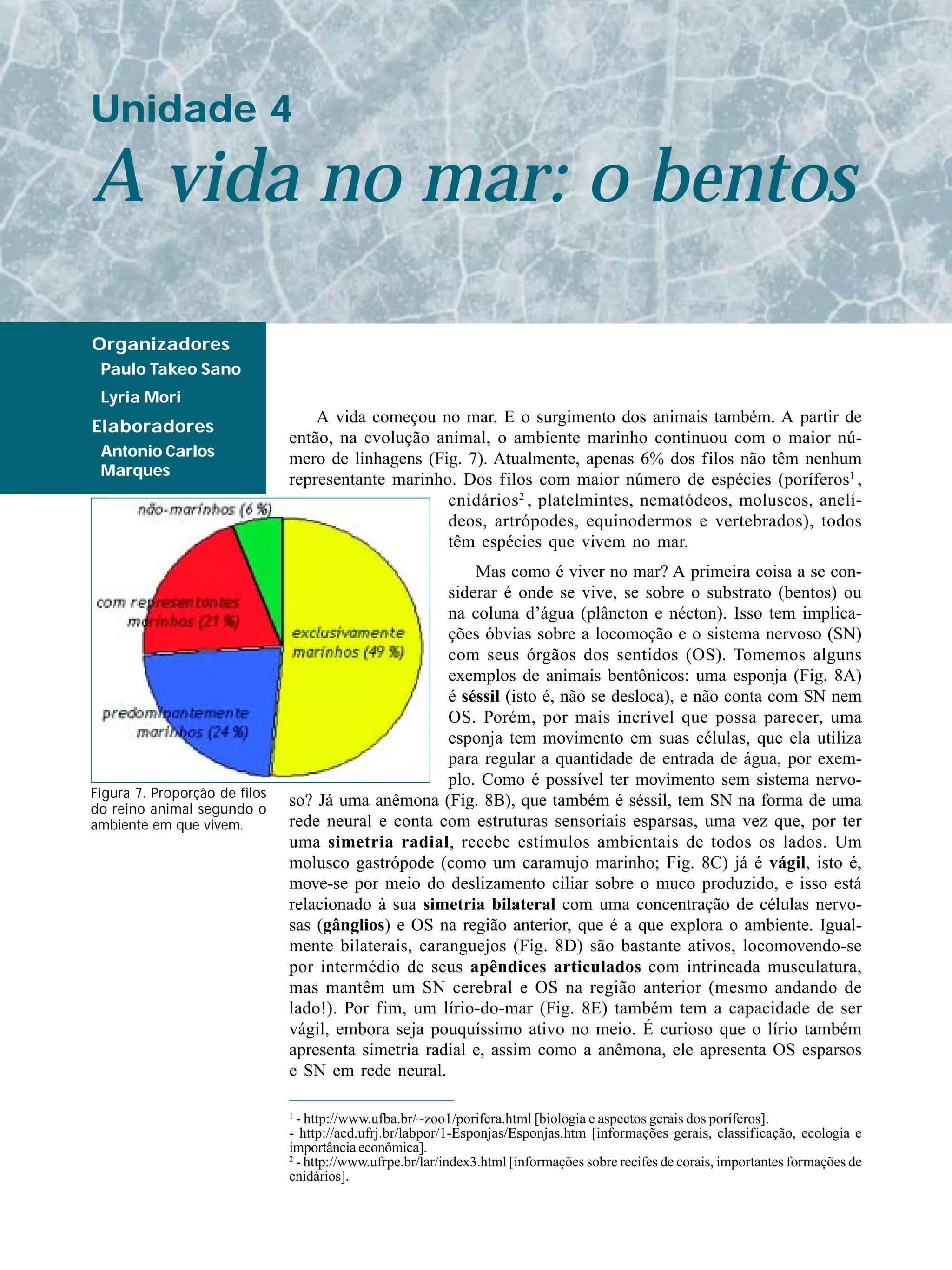 Unidade 4

A vida no mar: o bentos

Organizadores
 Paulo Takeo Sano
 Lyria Mori
                                   A vida começou no mar. E o surgimento dos animais também. A partir de
Elaboradores
                               então, na evolução animal, o ambiente marinho continuou com o maior nú-
 Antonio Carlos                mero de linhagens (Fig. 7). Atualmente, apenas 6% dos filos não têm nenhum
 Marques
                               representante marinho. Dos filos com maior número de espécies (poríferos1 ,
                                                    cnidários 2 , platelmintes, nematódeos, moluscos, anelí-
                                                    deos, artrópodes, equinodermos e vertebrados), todos
                                                    têm espécies que vivem no mar.
                                                         Mas como é viver no mar? A primeira coisa a se con-
                                                     siderar é onde se vive, se sobre o substrato (bentos) ou
                                                     na coluna d’água (plâncton e nécton). Isso tem implica-
                                                     ções óbvias sobre a locomoção e o sistema nervoso (SN)
                                                     com seus órgãos dos sentidos (OS). Tomemos alguns
                                                     exemplos de animais bentônicos: uma esponja (Fig. 8A)
                                                     é séssil (isto é, não se desloca), e não conta com SN nem
                                                     OS. Porém, por mais incrível que possa parecer, uma
                                                     esponja tem movimento em suas células, que ela utiliza
                                                     para regular a quantidade de entrada de água, por exem-
                                                     plo. Como é possível ter movimento sem sistema nervo-
Figura 7. Proporção de filos
do reino animal segundo o
                               so? Já uma anêmona (Fig. 8B), que também é séssil, tem SN na forma de uma
ambiente em que vivem.         rede neural e conta com estruturas sensoriais esparsas, uma vez que, por ter
                               uma simetria radial, recebe estímulos ambientais de todos os lados. Um
                               molusco gastrópode (como um caramujo marinho; Fig. 8C) já é vágil, isto é,
                               move-se por meio do deslizamento ciliar sobre o muco produzido, e isso está
                               relacionado à sua simetria bilateral com uma concentração de células nervo-
                               sas (gânglios) e OS na região anterior, que é a que explora o ambiente. Igual-
                               mente bilaterais, caranguejos (Fig. 8D) são bastante ativos, locomovendo-se
                               por intermédio de seus apêndices articulados com intrincada musculatura,
                               mas mantêm um SN cerebral e OS na região anterior (mesmo andando de
                               lado!). Por fim, um lírio-do-mar (Fig. 8E) também tem a capacidade de ser
                               vágil, embora seja pouquíssimo ativo no meio. É curioso que o lírio também
                               apresenta simetria radial e, assim como a anêmona, ele apresenta OS esparsos
                               e SN em rede neural.

                               1
                                 - http://www.ufba.br/~zoo1/porifera.html [biologia e aspectos gerais dos poríferos].
                               - http://acd.ufrj.br/labpor/1-Esponjas/Esponjas.htm [informações gerais, classificação, ecologia e
                               importância econômica].
                               2
                                 - http://www.ufrpe.br/lar/index3.html [informações sobre recifes de corais, importantes formações de
                               cnidários].
 