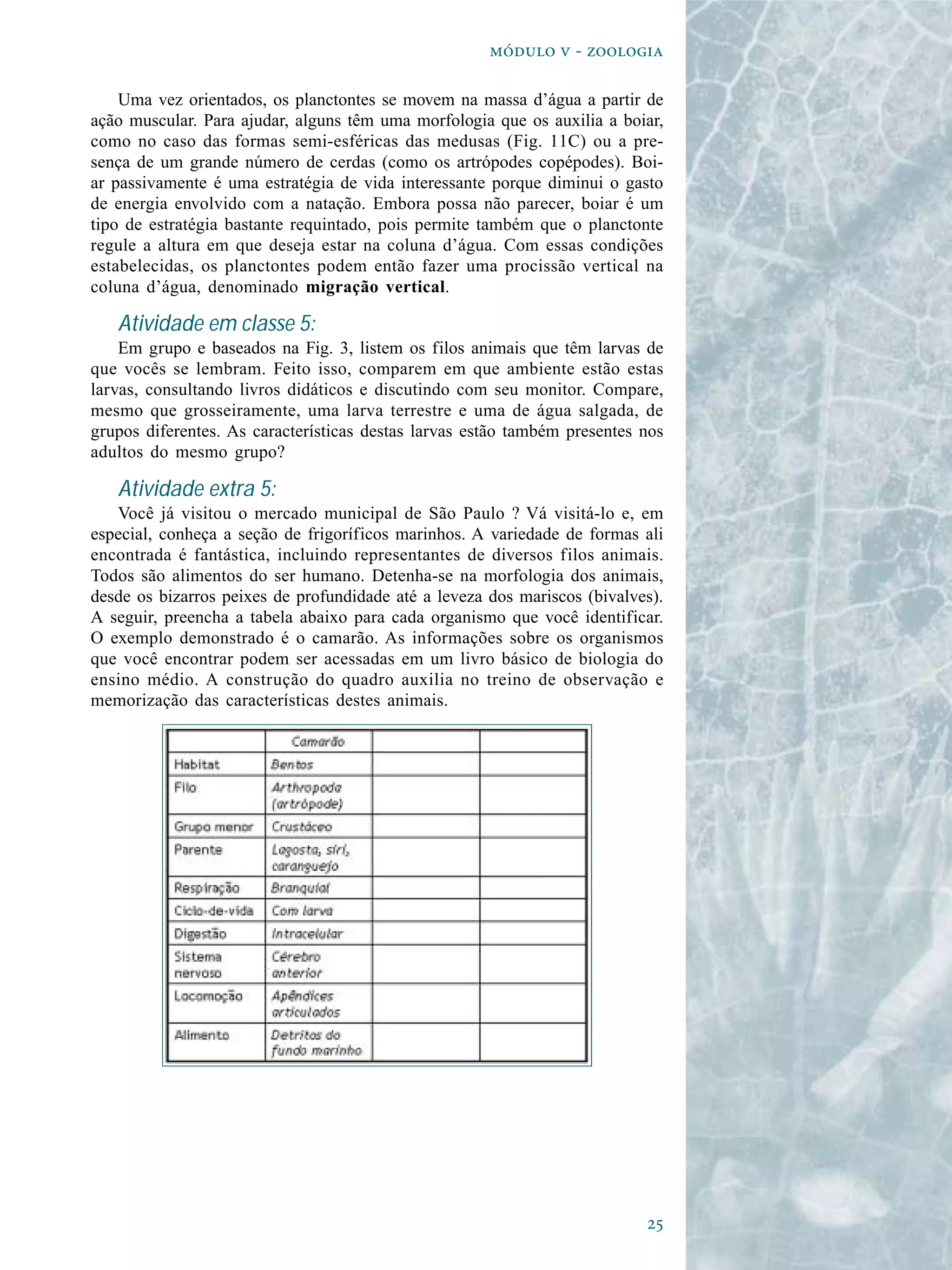   - 

    Uma vez orientados, os planctontes se movem na massa d’água a partir de
ação muscular. Para ajudar, alguns têm uma morfologia que os auxilia a boiar,
como no caso das formas semi-esféricas das medusas (Fig. 11C) ou a pre-
sença de um grande número de cerdas (como os artrópodes copépodes). Boi-
ar passivamente é uma estratégia de vida interessante porque diminui o gasto
de energia envolvido com a natação. Embora possa não parecer, boiar é um
tipo de estratégia bastante requintado, pois permite também que o planctonte
regule a altura em que deseja estar na coluna d’água. Com essas condições
estabelecidas, os planctontes podem então fazer uma procissão vertical na
coluna d’água, denominado migração vertical.

   Atividade em classe 5:
    Em grupo e baseados na Fig. 3, listem os filos animais que têm larvas de
que vocês se lembram. Feito isso, comparem em que ambiente estão estas
larvas, consultando livros didáticos e discutindo com seu monitor. Compare,
mesmo que grosseiramente, uma larva terrestre e uma de água salgada, de
grupos diferentes. As características destas larvas estão também presentes nos
adultos do mesmo grupo?

   Atividade extra 5:
   Você já visitou o mercado municipal de São Paulo ? Vá visitá-lo e, em
especial, conheça a seção de frigoríficos marinhos. A variedade de formas ali
encontrada é fantástica, incluindo representantes de diversos filos animais.
Todos são alimentos do ser humano. Detenha-se na morfologia dos animais,
desde os bizarros peixes de profundidade até a leveza dos mariscos (bivalves).
A seguir, preencha a tabela abaixo para cada organismo que você identificar.
O exemplo demonstrado é o camarão. As informações sobre os organismos
que você encontrar podem ser acessadas em um livro básico de biologia do
ensino médio. A construção do quadro auxilia no treino de observação e
memorização das características destes animais.




                                                                           
 