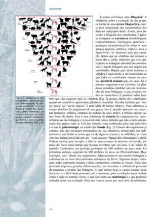 

                                                                               E como inferimos uma filogenia? A
                                                                          inferência sobre a evolução de um grupo,
                                                                          na forma de uma árvore filogenética, ocor-
                                                                          re pela comparação das características dos
                                                                          diversos subgrupos deste. Assim, para en-
                                                                          tender a filogenia dos vertebrados, é preci-
                                                                          so comparar os caracteres (morfológicos,
                                                                          comportamentais, fisiológicos, genéticos –
                                                                          quaisquer características) de todos os seus
                                                                          grupos (peixes, anfíbios, répteis, aves e
                                                                          mamíferos). Ao fazermos isso, por exem-
                                                                          plo, temos que as vértebras são comuns a
                                                                          todos eles e, então, inferimos que elas apa-
                                                                          receram na linhagem ancestral dos mesmos,
                                                                          isto é, aquela linhagem que deu origem aos
                                                                          vertebrados. Repare que, desta maneira, a
                                                                          vértebra é equivalente a um testemunho de
                                                                          que todos os vertebrados vieram do mes-
                                                                          mo ancestral comum que, no caso, foi o
                                                                          primeiro organismo a ter vértebras. As glân-
                                                                          dulas mamárias também são um testemu-
                                                                          nho de uma linhagem, a que originou to-
                                                                          dos os mamíferos. É possível saber tam-
Figura 1. Classificação dos     bém que elas surgiram após as vértebras (Fig. 2) porque, dentro dos vertebrados,
organismos, utilizando um
cão como exemplo. As cate-      apenas os mamíferos apresentam glândulas mamárias. Perceba também que “sur-
gorias espelham origens.        gir antes” ou “surgir depois” é uma idéia de tempo relativo. Para sabermos o
Assim, a origem dos mamí-       tempo absoluto do surgimento de um grupo, isto é, quando apareceu seu ances-
feros (classe Mammalia) foi
anterior à origem da famí-
                                tral (milhares, milhões, centenas de milhões de anos atrás!), é preciso utilizar ou-
lia dos canídeos (Canidae),     tras fontes de dados. Esta é uma inferência da datação do surgimento das carac-
que inclui o cão (segundo       terísticas ou das linhagens e é possível com outros métodos que não a mera compa-
Amabis & Martho, 1985, p. 9).   ração dos grupos entre si. Um dos métodos mais conhecidos para esta inferência
                                é o uso da paleontologia, ou estudo dos fósseis (Fig. 3). Fósseis são organismos já
                                extintos mas que deixaram testemunhos de sua existência, preservados em sedi-
                                mentos ou em âmbar (a resina que sai de algumas árvores e se solidifica, às vezes
                                com um animal envolvido por ela – você assistiu “Parque dos Dinossauros”, não?).
                                Pode-se estimar, por exemplo, a data de aparecimento do primeiro vertebrado, por
                                meio do fóssil mais antigo que possua vértebras que, no caso, é do início do
                                período Cambriano, um período geológico de 540 milhões de anos atrás. Os
                                primeiros animais surgiram há 600 milhões de anos, no Pré-Cambriano. Haja
                                evolução, não? Desde seu surgimento, diferenciaram-se em muitas linhagens e
                                colonizaram os mais diversificados ambientes da Terra. Algumas dessas linha-
                                gens estão totalmente extintas e delas conhecemos somente os fósseis. Todo esse
                                processo implicou grandes diferenciações, um exaustivo e infindável processo
                                de mudança e seleção das linhagens. O que vemos hoje, e vamos estudar neste
                                fascículo, é o final deste processo (até o momento, pois a evolução nunca acaba):
                                como e onde os animais vivem, o que isso altera sua morfologia e o que podemos
                                entender sobre sua evolução. Para isso vamos passar por uma série de ambientes.




                                
 