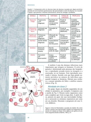 

Quadro 1. Comparação entre os diversos tipos de doenças causadas por alguns protistas
parasitas de seres humanos (protozooses). São apresentados o nome da doença, seu causador
e grupo a que pertence, sintomas característicos, forma de contágio e profilaxias.




                                 A malária é uma das doenças infecciosas mais
                            importantes que atingem os humanos. O ciclo do
                            parasita é determinado pela presença dos hospedei-
                            ros: a reprodução sexuada ocorre no mosquito e a
                            assexuada, no ser humano. Esta reprodução asse-
                            xuada é intensa, fazendo com que haja grande au-
                            mento periódico no número de indivíduos que,
                            quando rompem as hemácias, liberam seus resídu-
                            os e causam episódios de febre e calafrios caracte-
                            rísticos (Fig. 6).

                                 Atividade em classe 2:
                                 Em grupo, façam um desenho esquemático de um
                            ciliado (o paramécio, por exemplo). Comparem com
                            a ameba da Fig. 4. Pensem nestes organismos como
                            seres completos que vivem na água doce. A partir dis-
                            so, pensem em quais são suas necessidades biológi-
                            cas e acrescente as estruturas responsáveis por essas
                            em seu desenho. Discutam e pesquisem em seus li-
                            vros didáticos.

                            Figura 6. Ciclo do Plasmodium, causador da malária. No canto
                            inferior, à direita, está representado o gráfico de temperatura do
                            doente em relação ao tempo. Tente explicar este gráfico em um
                            texto (segundo Amabis & Martho, 1985, p. 61.



 