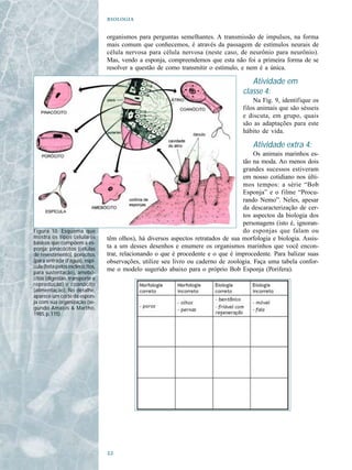 

                                  organismos para perguntas semelhantes. A transmissão de impulsos, na forma
                                  mais comum que conhecemos, é através da passagem de estímulos neurais de
                                  célula nervosa para célula nervosa (neste caso, de neurônio para neurônio).
                                  Mas, vendo a esponja, compreendemos que esta não foi a primeira forma de se
                                  resolver a questão de como transmitir o estímulo, e nem é a única.

                                                                                        Atividade em
                                                                                     classe 4:
                                                                                         Na Fig. 9, identifique os
                                                                                     filos animais que são sésseis
                                                                                     e discuta, em grupo, quais
                                                                                     são as adaptações para este
                                                                                     hábito de vida.

                                                                                         Atividade extra 4:
                                                                                         Os animais marinhos es-
                                                                                     tão na moda. Ao menos dois
                                                                                     grandes sucessos estiveram
                                                                                     em nosso cotidiano nos últi-
                                                                                     mos tempos: a série “Bob
                                                                                     Esponja” e o filme “Procu-
                                                                                     rando Nemo”. Neles, apesar
                                                                                     da descaracterização de cer-
                                                                                     tos aspectos da biologia dos
                                                                                     personagens (isto é, ignoran-
Figura 10. Esquema que                                                               do esponjas que falam ou
mostra os tipos celulares         têm olhos), há diversos aspectos retratados de sua morfologia e biologia. Assis-
básicos que compõem a es-
ponja: pinacócitos (células       ta a um desses desenhos e enumere os organismos marinhos que você encon-
de revestimento), porócitos       trar, relacionando o que é procedente e o que é improcedente. Para balizar suas
(para entrada d’água), espí-      observações, utilize seu livro ou caderno de zoologia. Faça uma tabela confor-
cula (feita pelos esclerócitos,
para sustentação), amebó-
                                  me o modelo sugerido abaixo para o próprio Bob Esponja (Porifera).
citos (digestão, transporte e
reprodução) e coanócito
(alimentação). No detalhe,
aparece um corte da espon-
ja com sua organização (se-
gundo Amabis & Martho,
1985, p. 115).




                                  
 