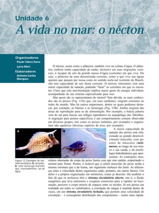 Unidade 6

A vida no mar: o nécton

Organizadores
 Paulo Takeo Sano
 Lyria Mori                          O nécton, assim como o plâncton, também vive na coluna d’água. O plânc-
                                ton, embora tenha capacidade de nadar, inclusive em suas migrações verti-
Elaboradores
                                cais, é incapaz de sair da grande massa d’água (corrente) em que vive. Ou
 Antonio Carlos                 seja, o plâncton de uma determinada corrente, como o que vive nas águas
 Marques                        quentes que passam por nossa costa no sentido norte-sul (corrente do Brasil),
                                não tem capacidade de sair desta corrente. O nécton, entretanto, tem uma
                                maior capacidade de natação, podendo “furar” as correntes em que se encon-
                                tra. Claro que esta movimentação implica maior gasto de energia individual,
                                acompanhado de um sistema especializado para isso.
                                     Mas quem são os representantes do nécton? Sem dúvida, os mais conheci-
                                dos são os peixes (Fig. 13A) que, em seus cardumes, singram correntes ao
                                redor do mundo. Mas há outros organismos, dentre os quais podemos desta-
                                car, por exemplo, as baleias e as tartarugas (Fig. 13B). Ambas migram das
                                áreas de reprodução para as de alimentação. Por exemplo, a baleia jubarte
                                vem do sul para buscar seu refúgio reprodutivo no arquipélago dos Abrolhos.
                                A migração para pontos específicos é um comportamento comum observado
                                em diversos grupos, tais como os peixes (salmões, por exemplo) e organis-
                                mos não aquáticos (diversas espécies de aves, por exemplo).
                                                                                       A maior capacidade de
                                                                                  natação dos peixes está rela-
                                                                                  cionada ao grande desenvol-
                                                                                  vimento muscular, com pa-
                                                                                  cotes de músculos (miô-
                                                                                  meros) ao longo de seu tron-
                                                                                  co e sua cauda, e da morfo-
                                                                                  logia hidrodinâmica que apre-
                                                                                  sentam. As contrações mus-
Figura 13. Exemplos de ani-     culares alternadas do corpo do peixe fazem com que este ondule, empurrando o
mais nectônicos. A, um peixe;   animal para frente. Porém, é notável que a célula muscular do peixe tenha a
B, uma tartaruga marinha
que, eventualmente, sai da
                                mesma estrutura que a da lesma, um organismo molusco tão lento. As diferen-
água.                           ças entre a velocidade destes organismos estão, portanto, em outros fatores. Um
                                deles é a própria organização em miômeros, como já descrito. Há também o
                                fato de que os moluscos têm o sistema circulatório aberto, isto é, o fluido
                                sangüíneo que leva nutrientes e oxigênio essenciais para a rapidez na loco-
                                moção, percorre o corpo através de espaços entre os tecidos. Já nos peixes (na
                                realidade em todos os vertebrados), a circulação do sangue é mantida dentro de
                                vasos, em um sistema circulatório fechado, que permite uma velocidade de
                                circulação – e conseqüente distribuição dos componentes – muito mais rápida.
 
