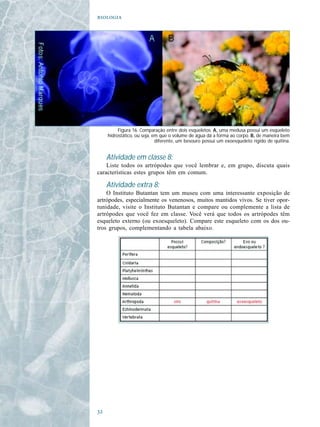 




          Figura 16. Comparação entre dois esqueletos. A, uma medusa possui um esqueleto
     hidrostático, ou seja, em que o volume de água dá a forma ao corpo. B, de maneira bem
                             diferente, um besouro possui um exoesqueleto rígido de quitina.


     Atividade em classe 8:
    Liste todos os artrópodes que você lembrar e, em grupo, discuta quais
características estes grupos têm em comum.

     Atividade extra 8:
    O Instituto Butantan tem um museu com uma interessante exposição de
artrópodes, especialmente os venenosos, muitos mantidos vivos. Se tiver opor-
tunidade, visite o Instituto Butantan e compare ou complemente a lista de
artrópodes que você fez em classe. Você verá que todos os artrópodes têm
esqueleto externo (ou exoesqueleto). Compare este esqueleto com os dos ou-
tros grupos, complementando a tabela abaixo.





 