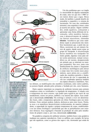 

                                                                          Um dos problemas que o ar impõe
                                                                      é a necessidade de alguma sustentação
                                                                      do corpo, uma vez que ele é 1000 ve-
                                                                      zes menos denso que a água. Desse
                                                                      modo, há também o grande desafio de
                                                                      remodelar o esqueleto e o sistema de
                                                                      locomoção. No caso dos vertebrados
                                                                      terrestres, esse esqueleto é ósseo, como
                                                                      já ocorria nos peixes. Alguns vertebra-
                                                                      dos, ainda aquáticos, começaram a
                                                                      apresentar uma forma diferente de lo-
                                                                      comoção, sobre membros laterais,
                                                                      com o desenvolvimento de nadadei-
                                                                      ras laterais musculosas, chamadas
                                                                      lobadas. Acredita-se que estas nada-
                                                                      deiras sejam as precursoras dos mem-
                                                                      bros locomotores que, a partir dos an-
                                                                      fíbios, ocorreram em um número bá-
                                                                      sico de quatro, dando assim nome ao
                                                                      grupo de Tetrapoda. A diversificação
                                                                      desses membros nos tetrápodes foi
                                                                      muito grande, algumas vezes para sal-
                                                                      tar (como pererecas), rastejar (croco-
                                                                      dilos) ou, até mesmo, desaparecendo
                                                                      em animais que se enterram ou raste-
                                                                      jam (serpentes). Nas aves, junto com
                                                                      fortalecimento da cintura e surgimento
                                                                      de artifícios morfológicos para deixar
                                                                      o corpo mais leve (como ossos pneu-
                                                                      máticos, sacos aéreos etc.), a modifi-
                                                                      cação dos membros permitiu o fantás-
                                                                      tico advento do vôo. A capacidade de
                                                                      vôo nos vertebrados apareceu também
Figura 18. Esquema compa-                                             nos répteis (fósseis) e mamíferos. Nes-
rativo entre os sistemas cir-   tes últimos, as modificações dos membros resultaram, entre outros padrões,
culatórios de peixes, anfíbi-   na postura bípede adotada pelos primatas e herdada por nós, seres humanos.
os, répteis, aves e mamífe-
ros. Setas escuras indicam          Outro aspecto importante na conquista do ambiente terrestre para animais
alta concentração de CO2 no     complexos como os vertebrados é a regulação da temperatura. A relação com
sangue, setas claras indicam
alta concentração de O2 (se-    a temperatura do meio externo, sem poder para regulá-la por meio de seu
gundo Amabis & Martho,          metabolismo, ocorre em peixes, anfíbios e na maioria dos répteis. Essa condi-
1985, p. 387).                  ção é denominada ectotermia. Ela restringe o animal a viver em determina-
                                dos locais, onde a temperatura apresenta um ótimo fisiológico para seu meta-
                                bolismo. Estes animais podem, todavia, deslocar-se para estes locais. Porém,
                                as aves e os mamíferos desenvolveram evolutivamente, de maneira indepen-
                                dente, a capacidade de regular a própria temperatura do corpo, estabilizando-
                                a no seu ótimo fisiológico e permitindo que não se perturbassem com extre-
                                mos térmicos. Essa regulagem é baseada na produção de calor pelo metabo-
                                lismo do próprio corpo e, por isso, denominada endotermia.
                                   Na gradativa conquista do ambiente terrestre, também houve uma gradativa
                                mudança nos aspectos reprodutivos. Entre os anfíbios, por exemplo, há larvas
                                que são aquáticas, como os girinos dos sapos e rãs, mostrando que ainda há


                                
 