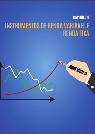 INSTRUMENTOS DE RENDA VARIÁVEL E
RENDA FIXA
CAPÍTULO 6
 