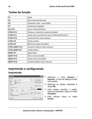 Básico do Microsoft Excel 2003

20

Teclas de função
F1

Ajuda

F2

Ativa a barra de fórmulas

F5

Comando Ir Para - menu Editar

F7

Verificador Ortográfico

ALT+F4

Fecha o Microsoft Excel

CTRL+F10

Restaura e maximiza a pasta de trabalho

CTRL+F11

Insere uma nova folha de macro do Microsoft Excel 4.0

CTRL+F12

Comando Abrir (menu Arquivo)

CTRL+F4

Fecha a janela

CTRL+F9

Minimiza a pasta de trabalho

CTRL+SHIFT+F12

Comando Imprimir (menu Arquivo)

CTRL+SHIFT+F6

Janela anterior

SHIFT+F1

Ajuda direta

SHIFT+F10

Ativa o menu de atalho

SHIFT+F11

Insere uma nova planilha

SHIFT+F12

Comando Salvar (menu Arquivo)

Imprimindo e configurando
Imprimindo
1. Selecione o menu Arquivo /
Imprimir. A caixa de diálogo ao lado
será exibida.
2. Selecione as opções desejadas e
clique OK.
3. Caso deseje visualizar o gráfico
antes da impressão, clique no botão
Visualizar.
4. Para retornar
Fechar.

clique

Escola de Artes, Ofícios e Computação - UNIFESP

no

botão

 