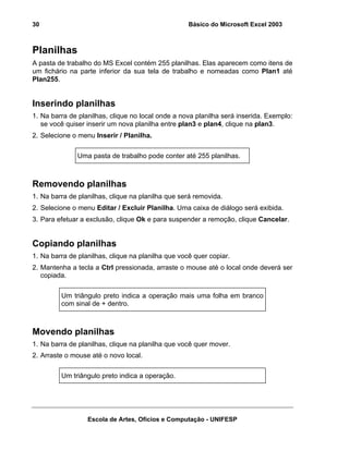 Básico do Microsoft Excel 2003

30

Planilhas
A pasta de trabalho do MS Excel contém 255 planilhas. Elas aparecem como itens de
um fichário na parte inferior da sua tela de trabalho e nomeadas como Plan1 até
Plan255.

Inserindo planilhas
1. Na barra de planilhas, clique no local onde a nova planilha será inserida. Exemplo:
se você quiser inserir um nova planilha entre plan3 e plan4, clique na plan3.
2. Selecione o menu Inserir / Planilha.
Uma pasta de trabalho pode conter até 255 planilhas.

Removendo planilhas
1. Na barra de planilhas, clique na planilha que será removida.
2. Selecione o menu Editar / Excluir Planilha. Uma caixa de diálogo será exibida.
3. Para efetuar a exclusão, clique Ok e para suspender a remoção, clique Cancelar.

Copiando planilhas
1. Na barra de planilhas, clique na planilha que você quer copiar.
2. Mantenha a tecla a Ctrl pressionada, arraste o mouse até o local onde deverá ser
copiada.
Um triângulo preto indica a operação mais uma folha em branco
com sinal de + dentro.

Movendo planilhas
1. Na barra de planilhas, clique na planilha que você quer mover.
2. Arraste o mouse até o novo local.
Um triângulo preto indica a operação.

Escola de Artes, Ofícios e Computação - UNIFESP

 