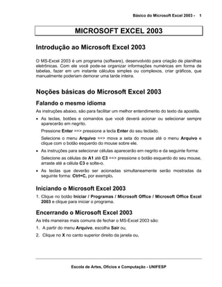 Básico do Microsoft Excel 2003 -

1

MICROSOFT EXCEL 2003
Introdução ao Microsoft Excel 2003
O MS-Excel 2003 é um programa (software), desenvolvido para criação de planilhas
eletrônicas. Com ele você pode-se organizar informações numéricas em forma de
tabelas, fazer em um instante cálculos simples ou complexos, criar gráficos, que
manualmente poderiam demorar uma tarde inteira.

Noções básicas do Microsoft Excel 2003
Falando o mesmo idioma
As instruções abaixo, são para facilitar um melhor entendimento do texto da apostila.
• As teclas, botões e comandos que você deverá acionar ou selecionar sempre
aparecerão em negrito.
Pressione Enter ==> pressione a tecla Enter do seu teclado.
Selecione o menu Arquivo ==> mova a seta do mouse até o menu Arquivo e
clique com o botão esquerdo do mouse sobre ele.
• As instruções para selecionar células aparecerão em negrito e da seguinte forma:
Selecione as células de A1 até C3 ==> pressione o botão esquerdo do seu mouse,
arraste até a célula C3 e solte-o.
• As teclas que deverão ser acionadas simultaneamente serão mostradas da
seguinte forma: Ctrl+C, por exemplo.

Iniciando o Microsoft Excel 2003
1. Clique no botão Iniciar / Programas / Microsoft Office / Microsoft Office Excel
2003 e clique para iniciar o programa.

Encerrando o Microsoft Excel 2003
As três maneiras mais comuns de fechar o MS-Excel 2003 são:
1. A partir do menu Arquivo, escolha Sair ou,
2. Clique no X no canto superior direito da janela ou,

Escola de Artes, Ofícios e Computação - UNIFESP

 