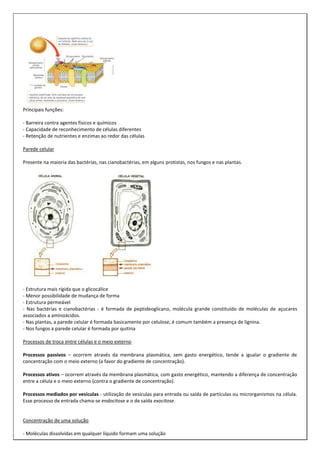 Principais funções:
- Barreira contra agentes físicos e químicos
- Capacidade de reconhecimento de células diferentes
- Retenção de nutrientes e enzimas ao redor das células
Parede celular
Presente na maioria das bactérias, nas cianobactérias, em alguns protistas, nos fungos e nas plantas.

- Estrutura mais rígida que o glicocálice
- Menor possibilidade de mudança de forma
- Estrutura permeável
- Nas bactérias e cianobactérias - é formada de peptideoglicano, molécula grande constituído de moléculas de açucares
associados a aminoácidos.
- Nas plantas, a parede celular é formada basicamente por celulose, é comum também a presença de lignina.
- Nos fungos a parede celular é formada por quitina
Processos de troca entre células e o meio externo
Processos passivos – ocorrem através da membrana plasmática, sem gasto energético, tende a igualar o gradiente de
concentração com o meio externo (a favor do gradiente de concentração).
Processos ativos – ocorrem através da membrana plasmática, com gasto energético, mantendo a diferença de concentração
entre a célula e o meio externo (contra o gradiente de concentração).
Processos mediados por vesículas - utilização de vesículas para entrada ou saída de partículas ou microrganismos na célula.
Esse processo de entrada chama-se endocitose e o de saída exocitose.

Concentração de uma solução
- Moléculas dissolvidas em qualquer líquido formam uma solução

 
