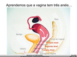 INICIAÇÃO AO POMPOARISMO Maio/2008
Pp. Vilma Cacciaguerra - vilmacacciaguerra@uol.com.br Slide no. 104
Aprendemos que a vagina tem três anéis…
Entrada da Vagina
Primeiro Anel
Fundo da Vagina
Reto
Bexiga
Clitóris
Segundo Anel
Terceiro Anel
 