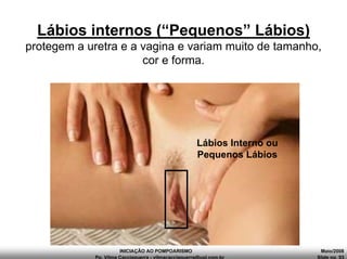 INICIAÇÃO AO POMPOARISMO Maio/2008
Pp. Vilma Cacciaguerra - vilmacacciaguerra@uol.com.br Slide no. 53
Lábios internos (“Pequenos” Lábios)
protegem a uretra e a vagina e variam muito de tamanho,
cor e forma.
Lábios Interno ou
Pequenos Lábios
 